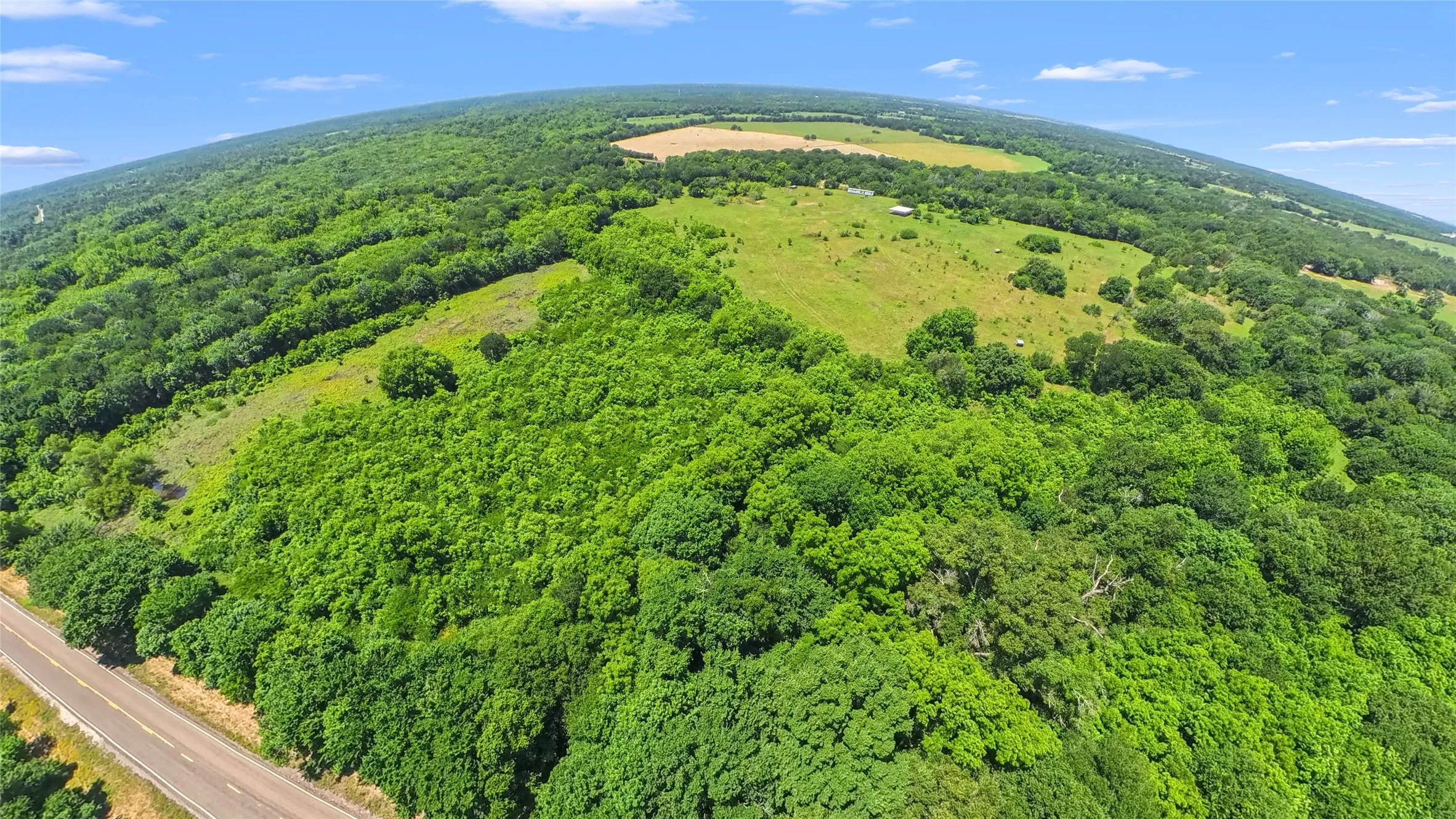 Expansive natural landscape featuring lush green trees, open grassy areas, and a visible road