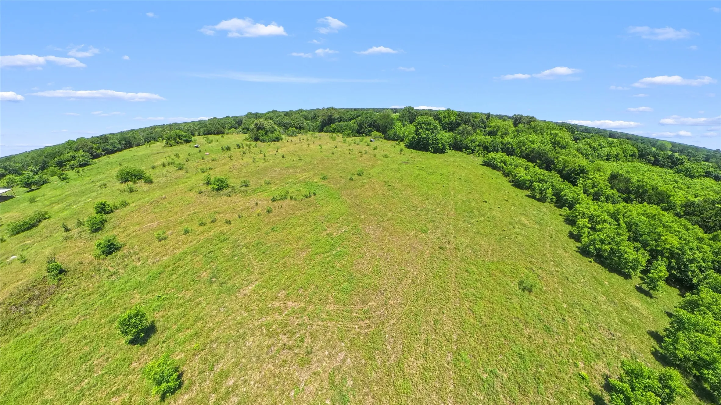 Expansive green hillside with a varied topography, bordered by dense deciduous tree lines