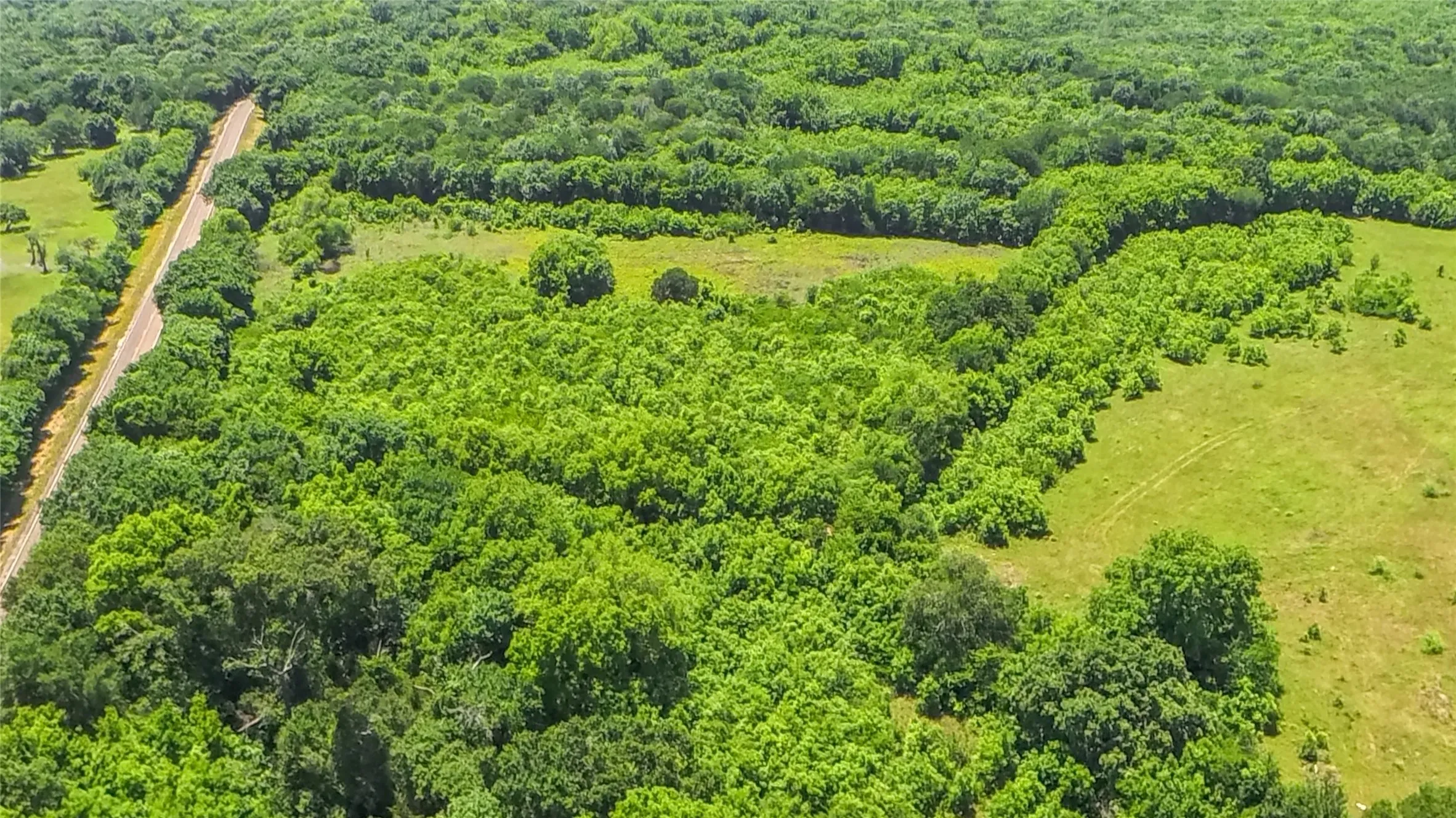 Expansive land parcel featuring dense tree cover and open grassy areas