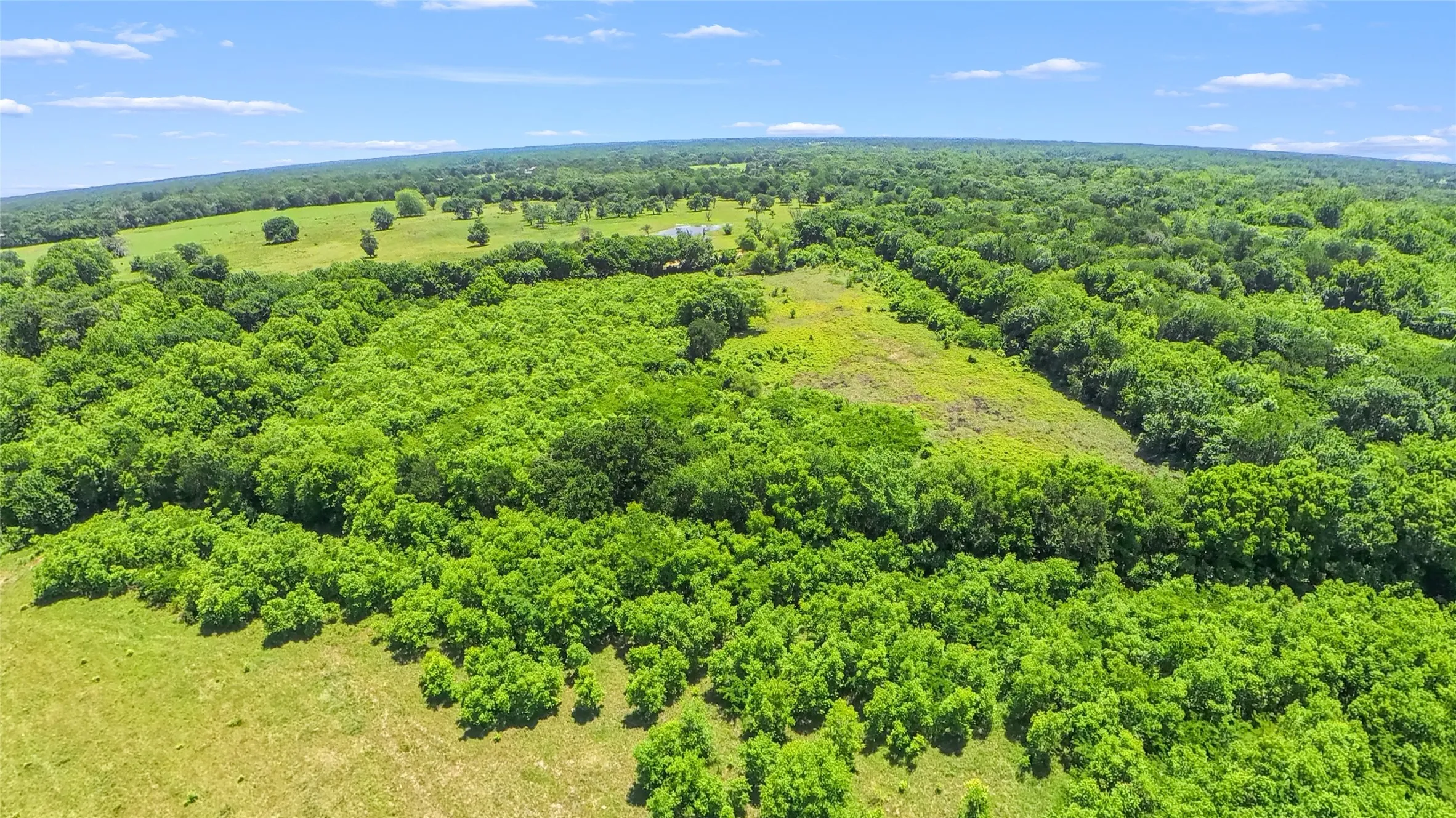 Expansive land parcel featuring dense woodlands and open grassy areas