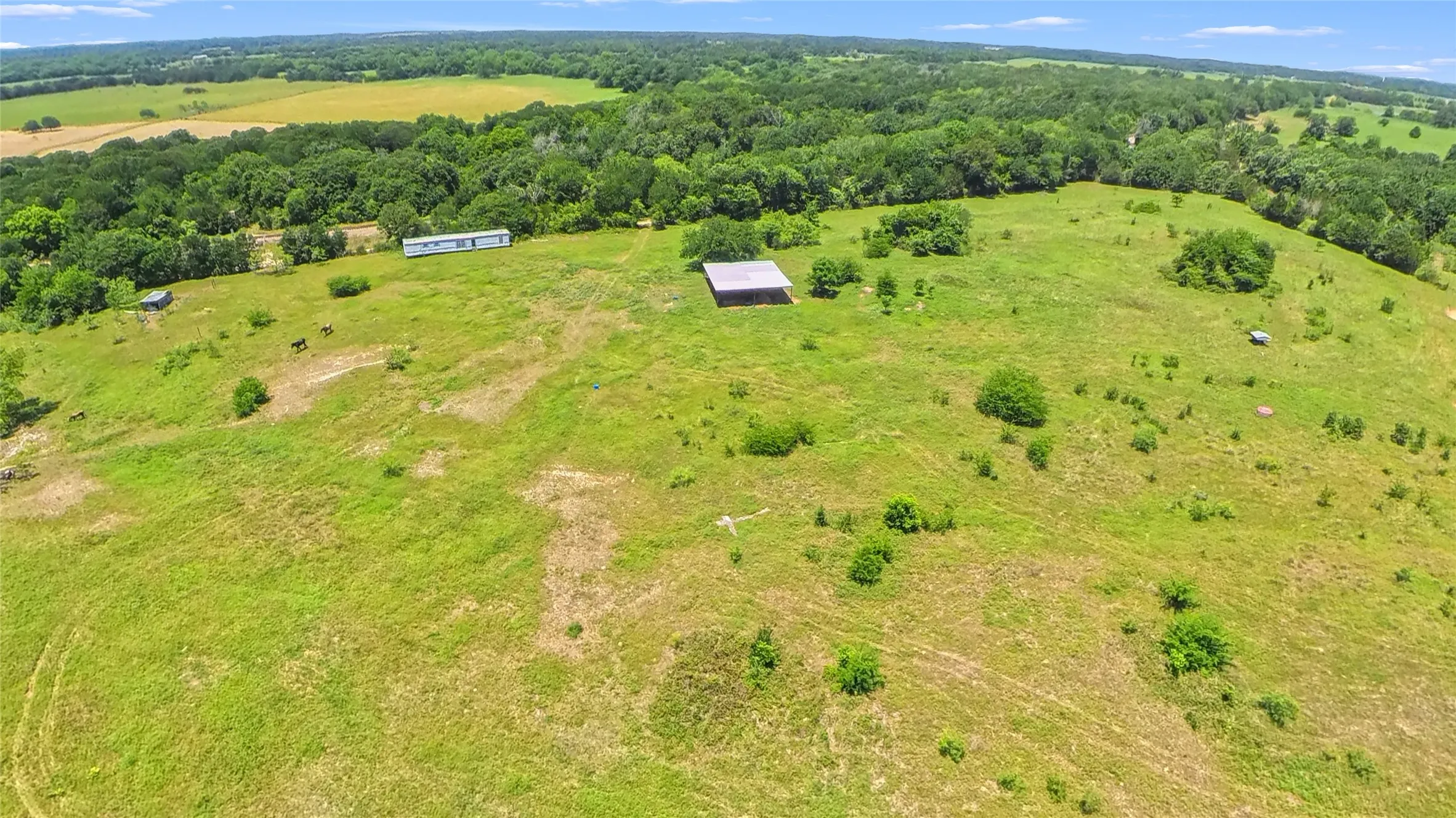 Expansive green acreage featuring scattered trees and a distant tree line