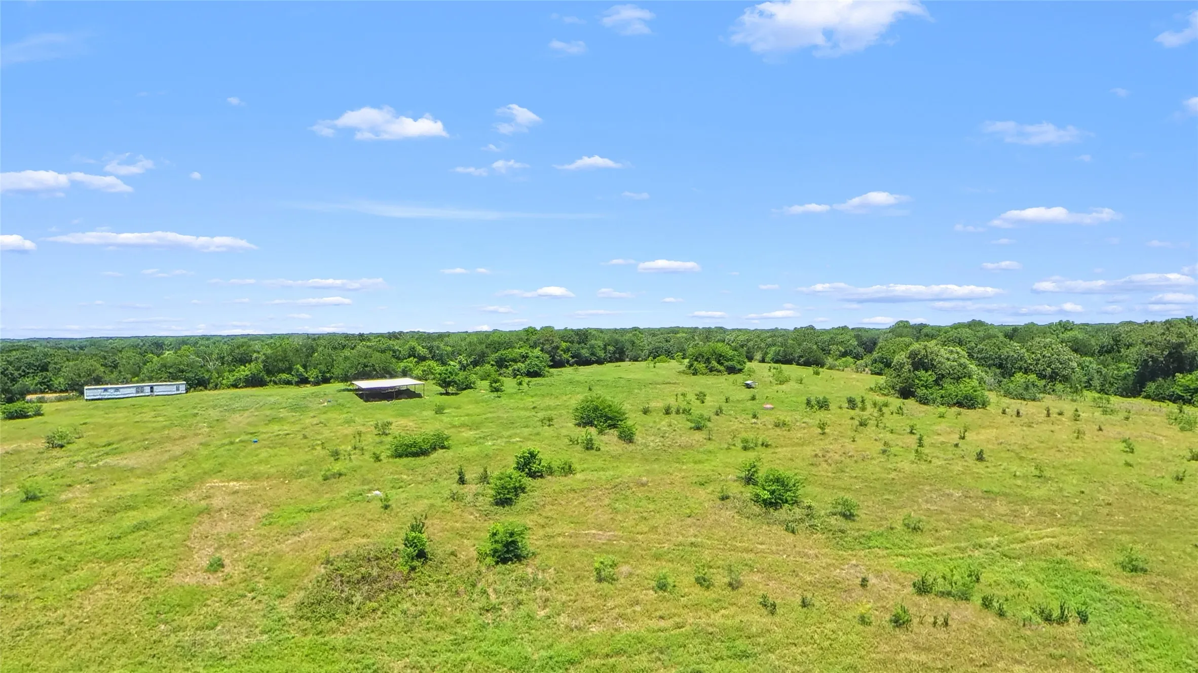 Expansive green acreage featuring scattered young trees, mature tree lines, a white manufactured home, and a covered outbuilding