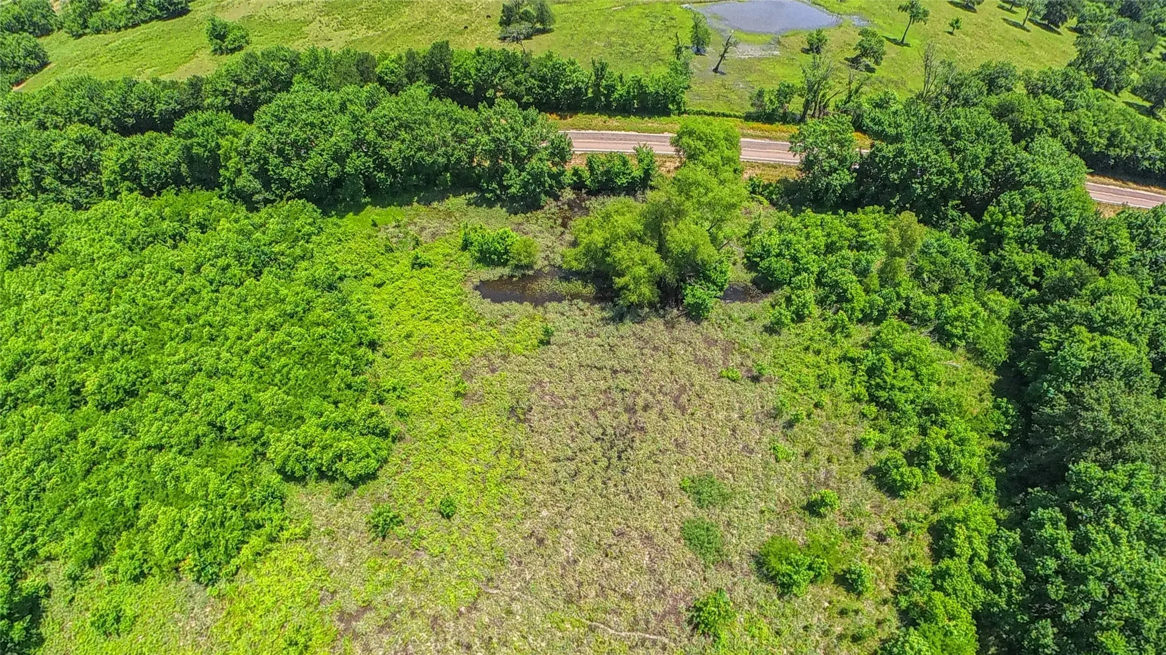 Expansive green landscape featuring varied foliage