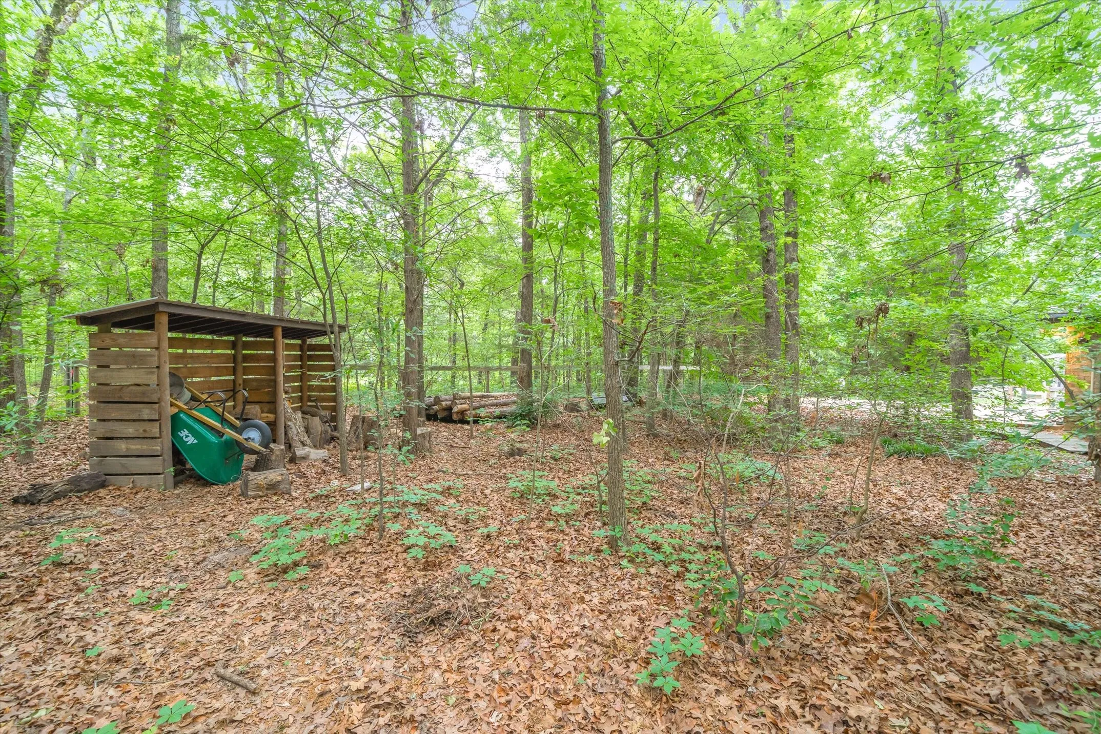 Shed