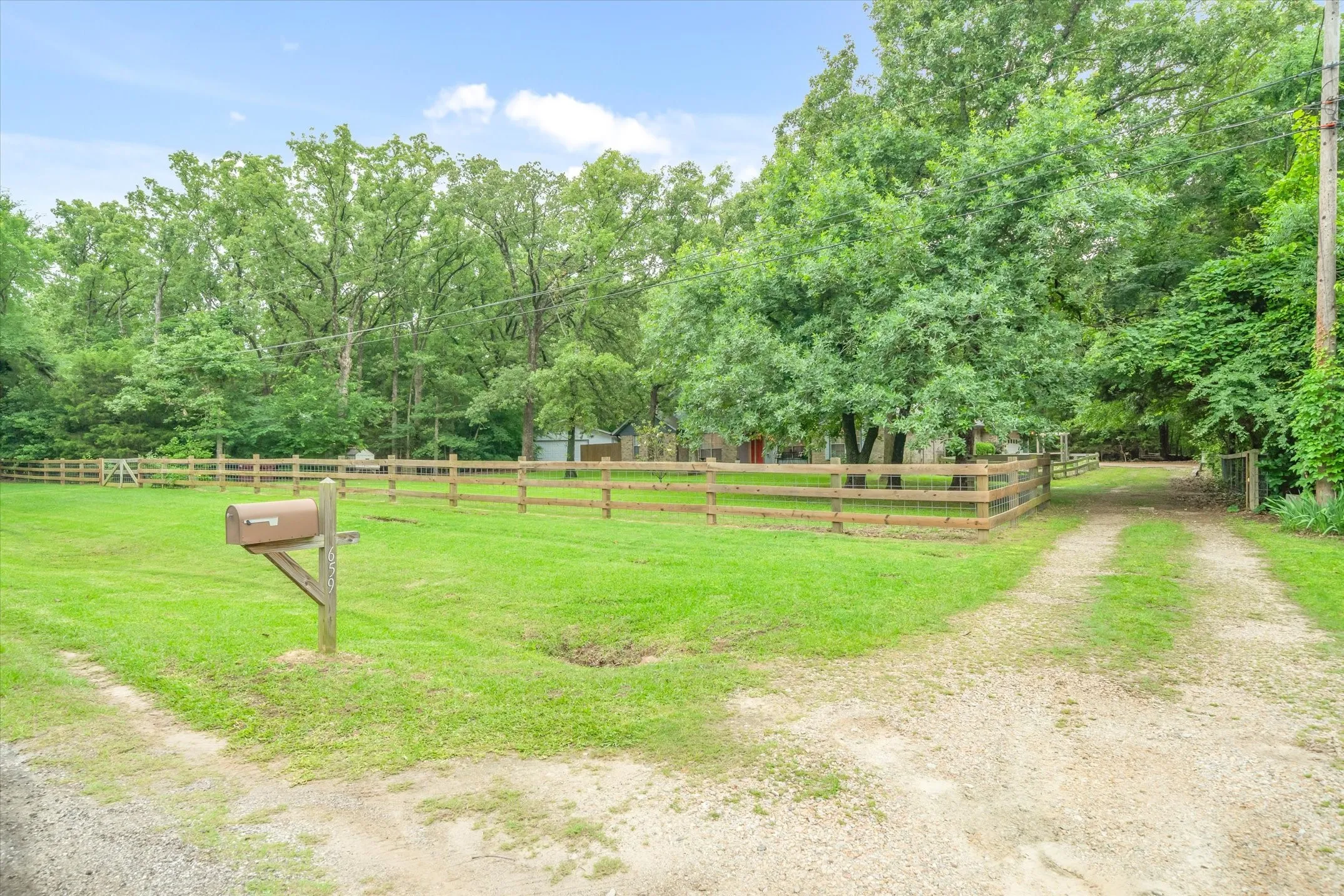 Front Yard/Driveway