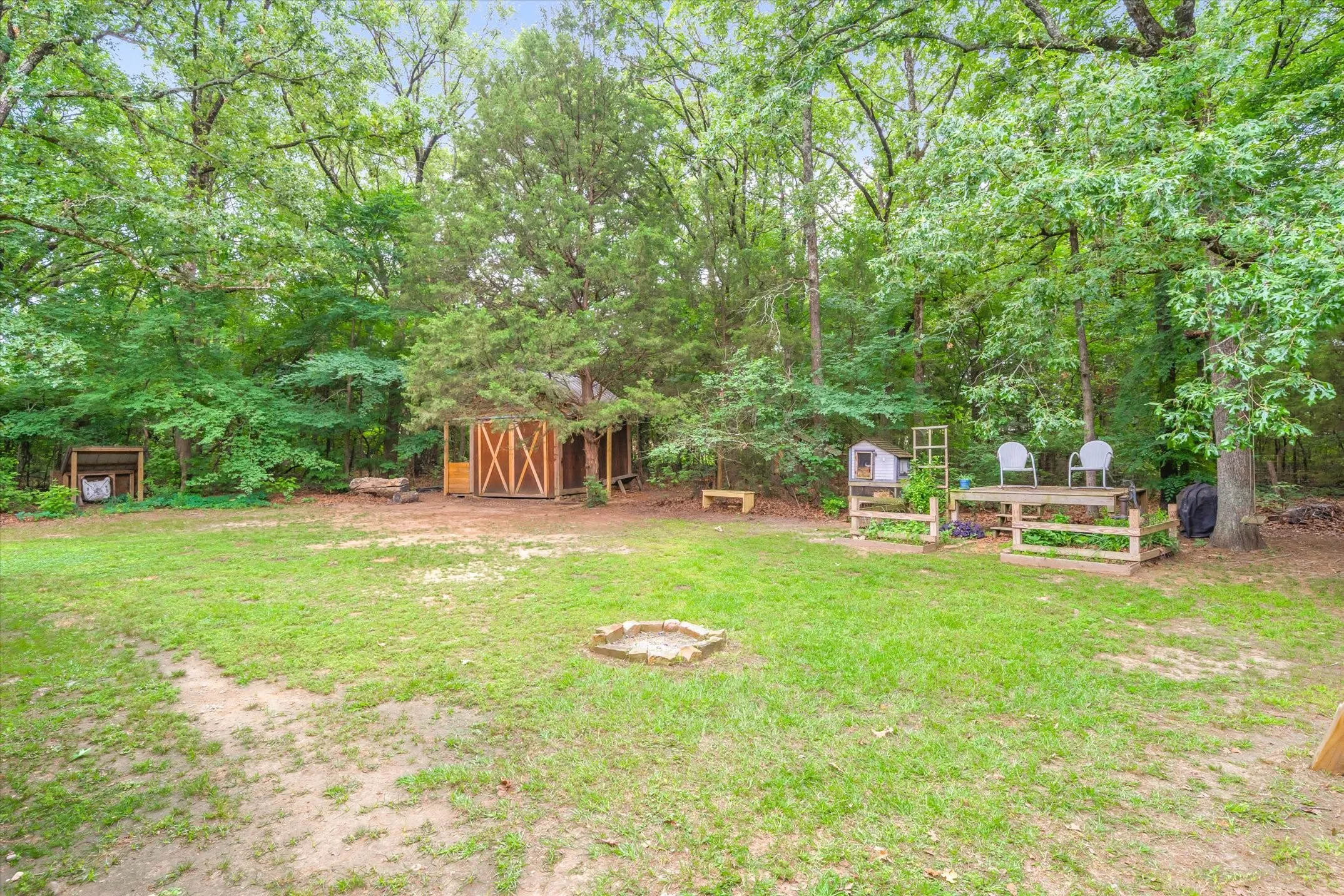 Backyard