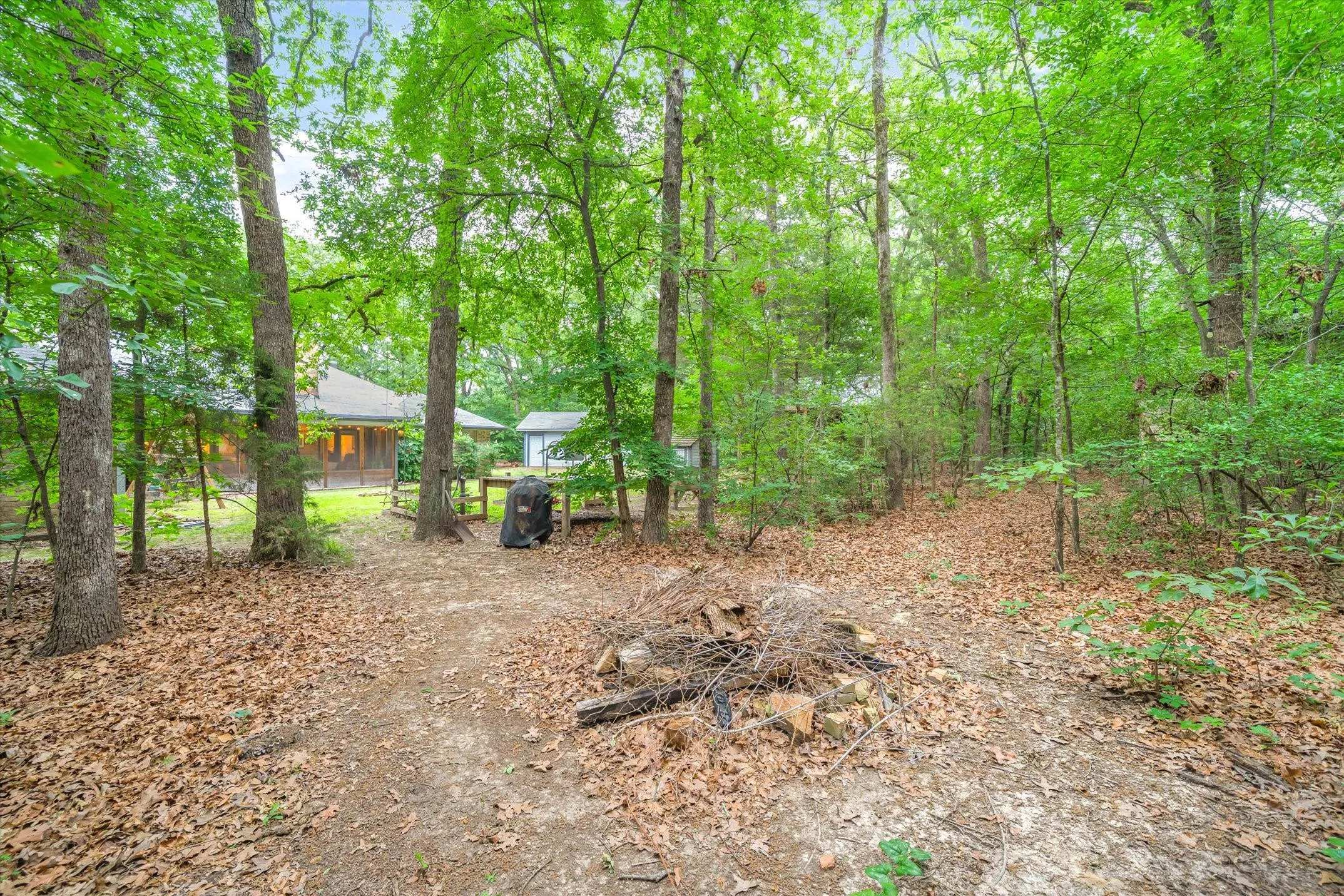 Backyard