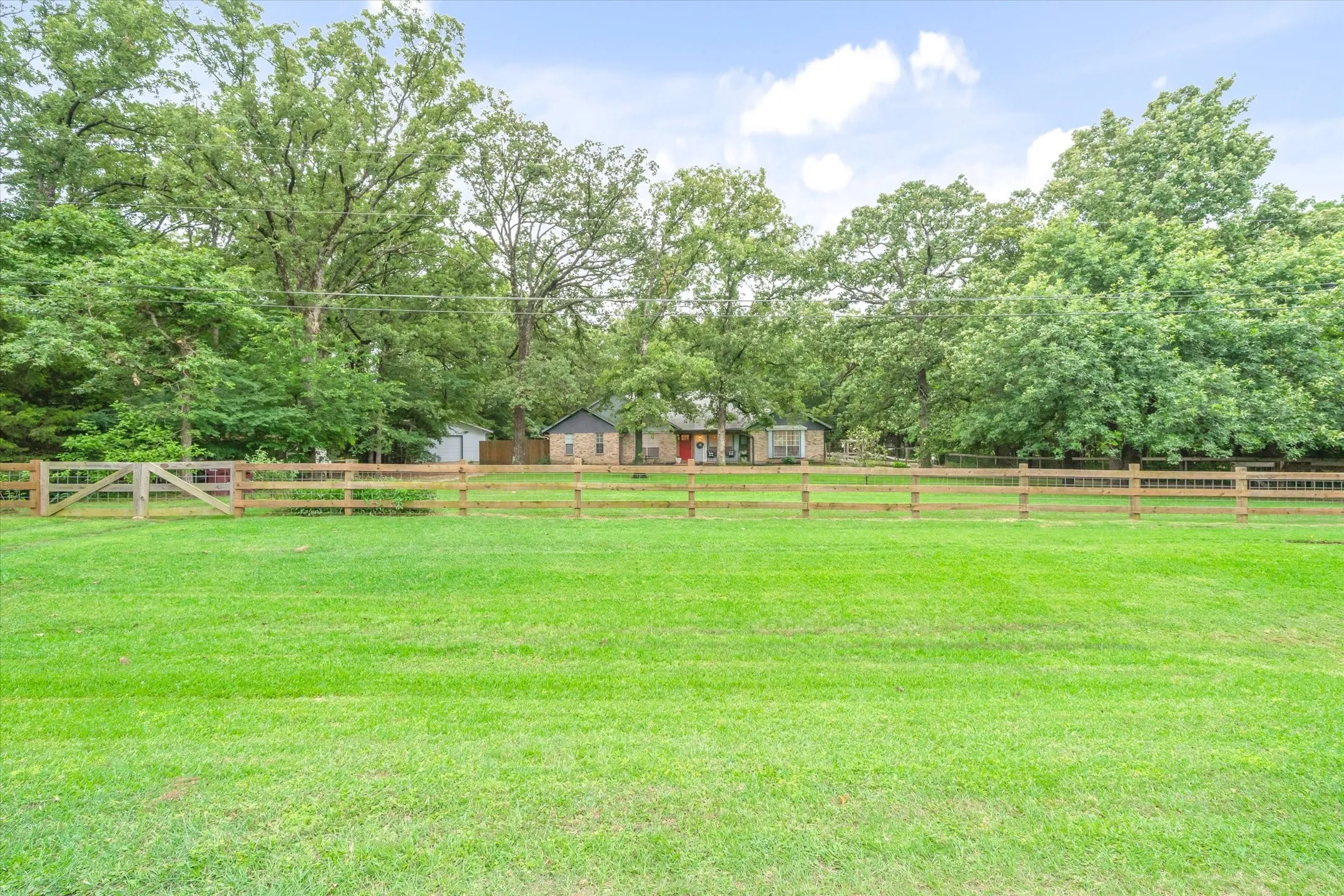 Front Yard