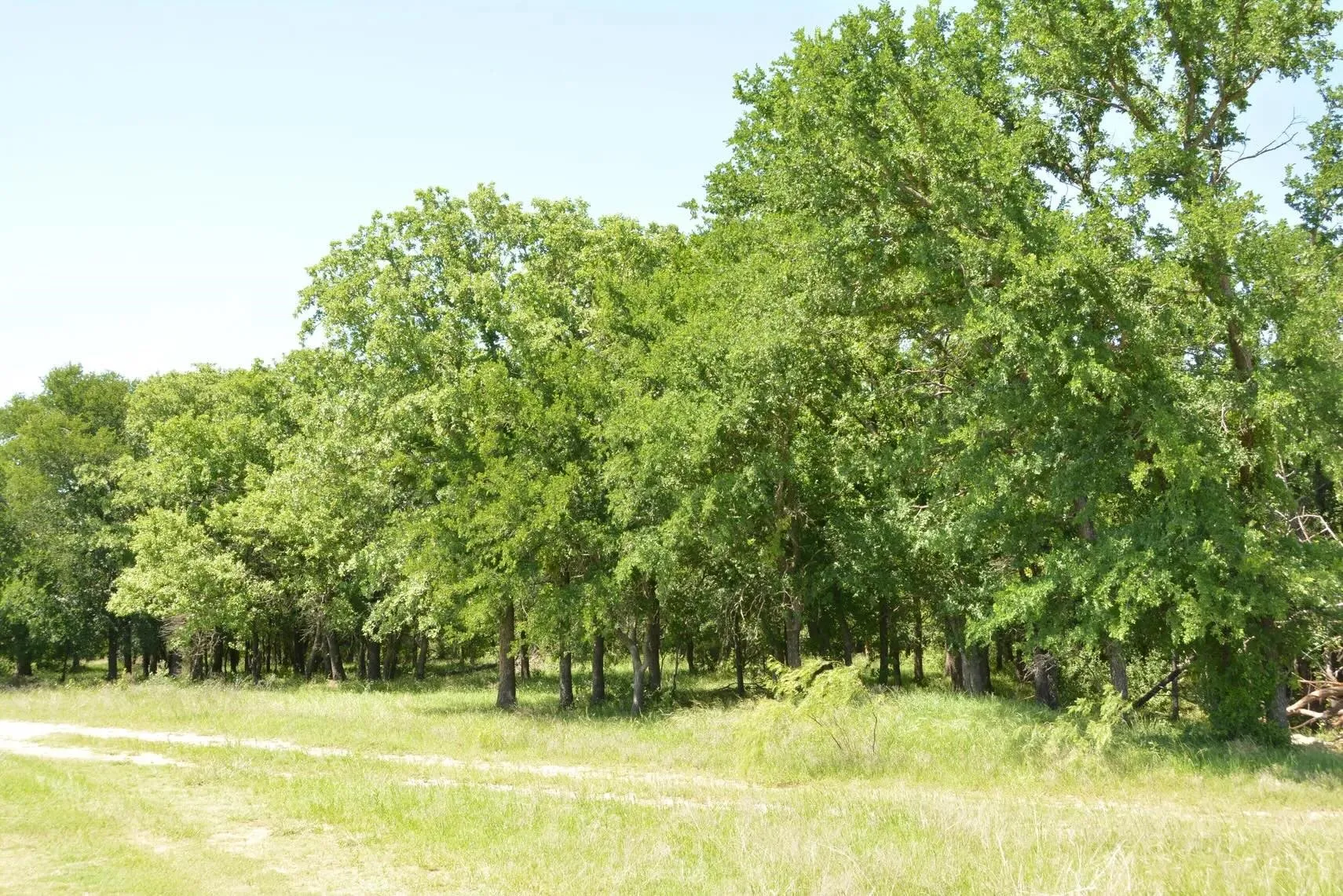 Single Family Residence For Sale in Wise County , 138 PR 3417, Bridgeport, Texas 76426, 3 Bedrooms, 2 Bathrooms, 3 Garage spaces, 1,750 Sqft, built in 1985, Price $1,900,000, mls#21267022, Real Estate Agent in Bridgeport, Homes For Sale in Wise county, Homes For Sale in Bridgeport, Realtor in Bridgeport Texas, Real Estate Brokerage Independent Realty Texas, Luminita Cordes Realtor