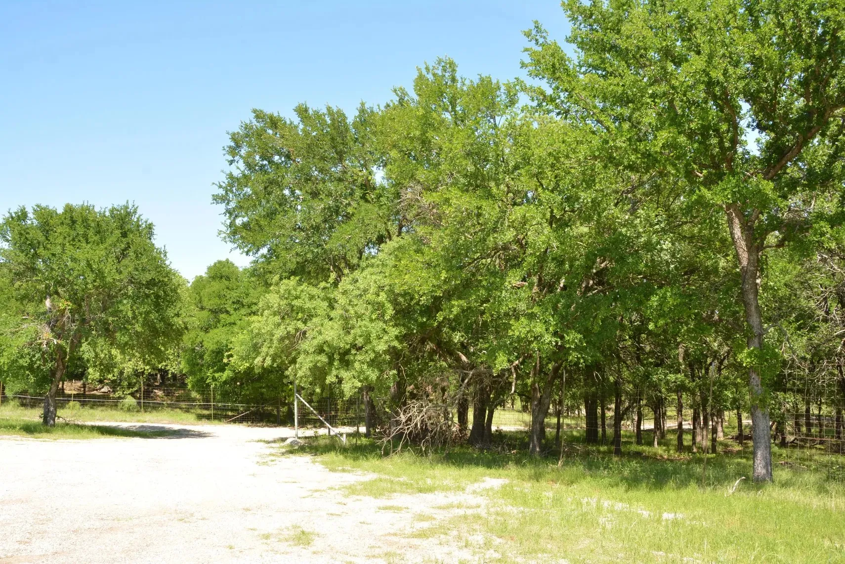 Single Family Residence For Sale in Wise County , 138 PR 3417, Bridgeport, Texas 76426, 3 Bedrooms, 2 Bathrooms, 3 Garage spaces, 1,750 Sqft, built in 1985, Price $1,900,000, mls#21267022, Real Estate Agent in Bridgeport, Homes For Sale in Wise county, Homes For Sale in Bridgeport, Realtor in Bridgeport Texas, Real Estate Brokerage Independent Realty Texas, Luminita Cordes Realtor