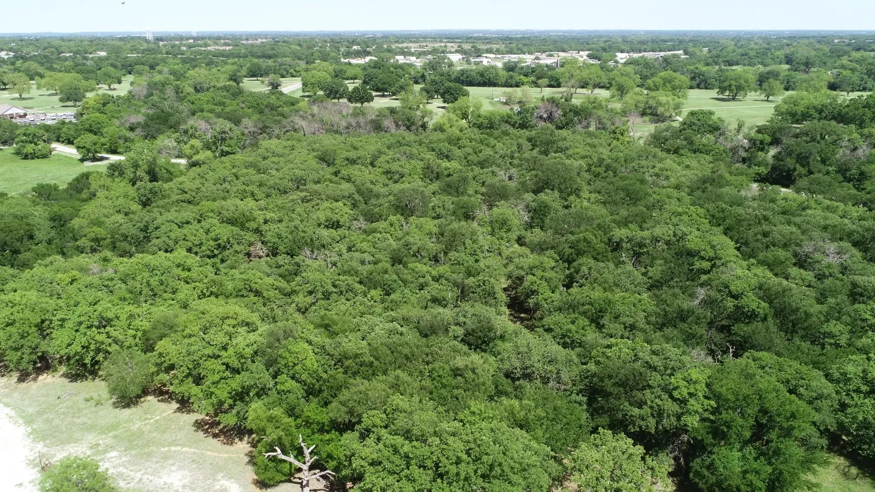 Single Family Residence For Sale in Wise County , 138 PR 3417, Bridgeport, Texas 76426, 3 Bedrooms, 2 Bathrooms, 3 Garage spaces, 1,750 Sqft, built in 1985, Price $1,900,000, mls#21267022, Real Estate Agent in Bridgeport, Homes For Sale in Wise county, Homes For Sale in Bridgeport, Realtor in Bridgeport Texas, Real Estate Brokerage Independent Realty Texas, Luminita Cordes Realtor