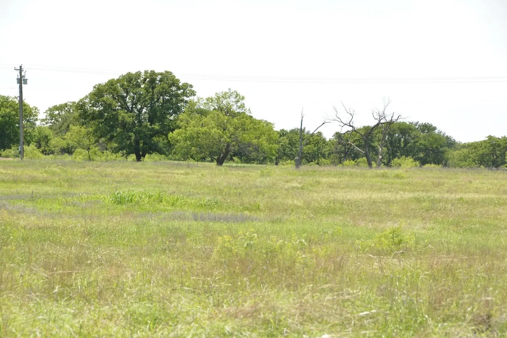 Single Family Residence For Sale in Wise County , 138 PR 3417, Bridgeport, Texas 76426, 3 Bedrooms, 2 Bathrooms, 3 Garage spaces, 1,750 Sqft, built in 1985, Price $1,900,000, mls#21267022, Real Estate Agent in Bridgeport, Homes For Sale in Wise county, Homes For Sale in Bridgeport, Realtor in Bridgeport Texas, Real Estate Brokerage Independent Realty Texas, Luminita Cordes Realtor