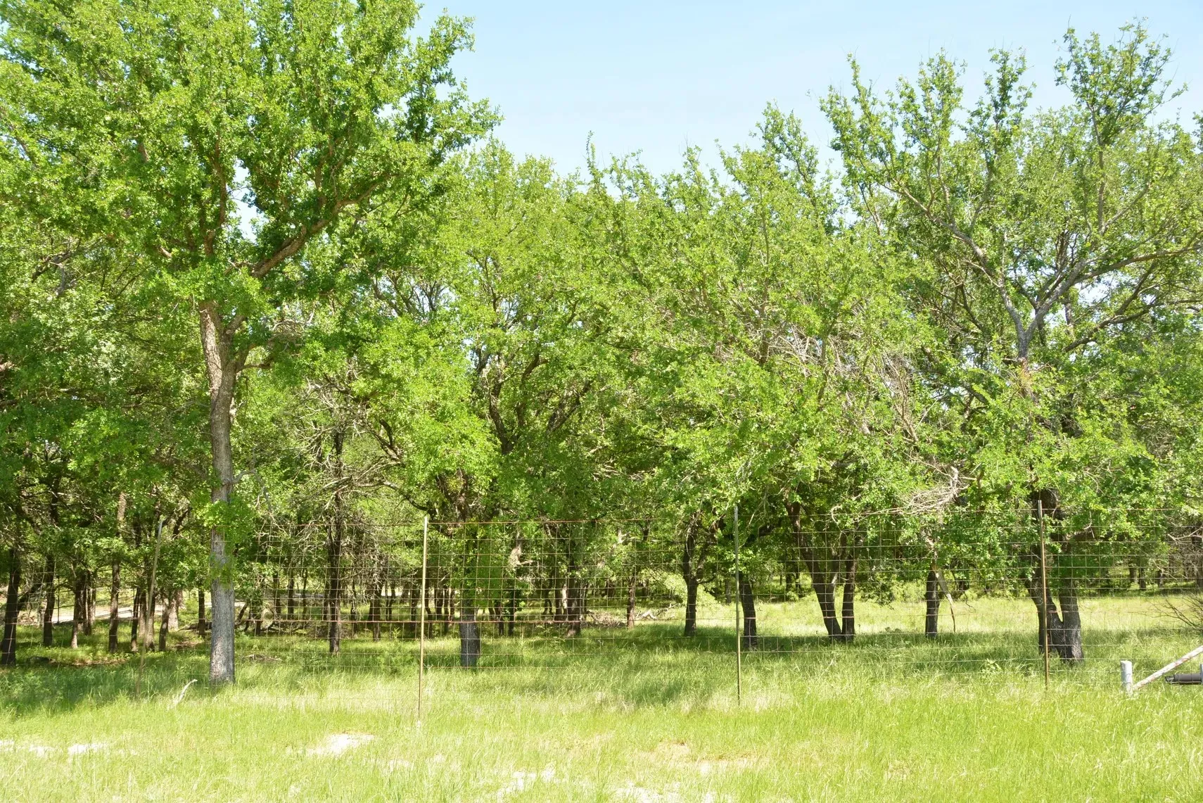Single Family Residence For Sale in Wise County , 138 PR 3417, Bridgeport, Texas 76426, 3 Bedrooms, 2 Bathrooms, 3 Garage spaces, 1,750 Sqft, built in 1985, Price $1,900,000, mls#21267022, Real Estate Agent in Bridgeport, Homes For Sale in Wise county, Homes For Sale in Bridgeport, Realtor in Bridgeport Texas, Real Estate Brokerage Independent Realty Texas, Luminita Cordes Realtor