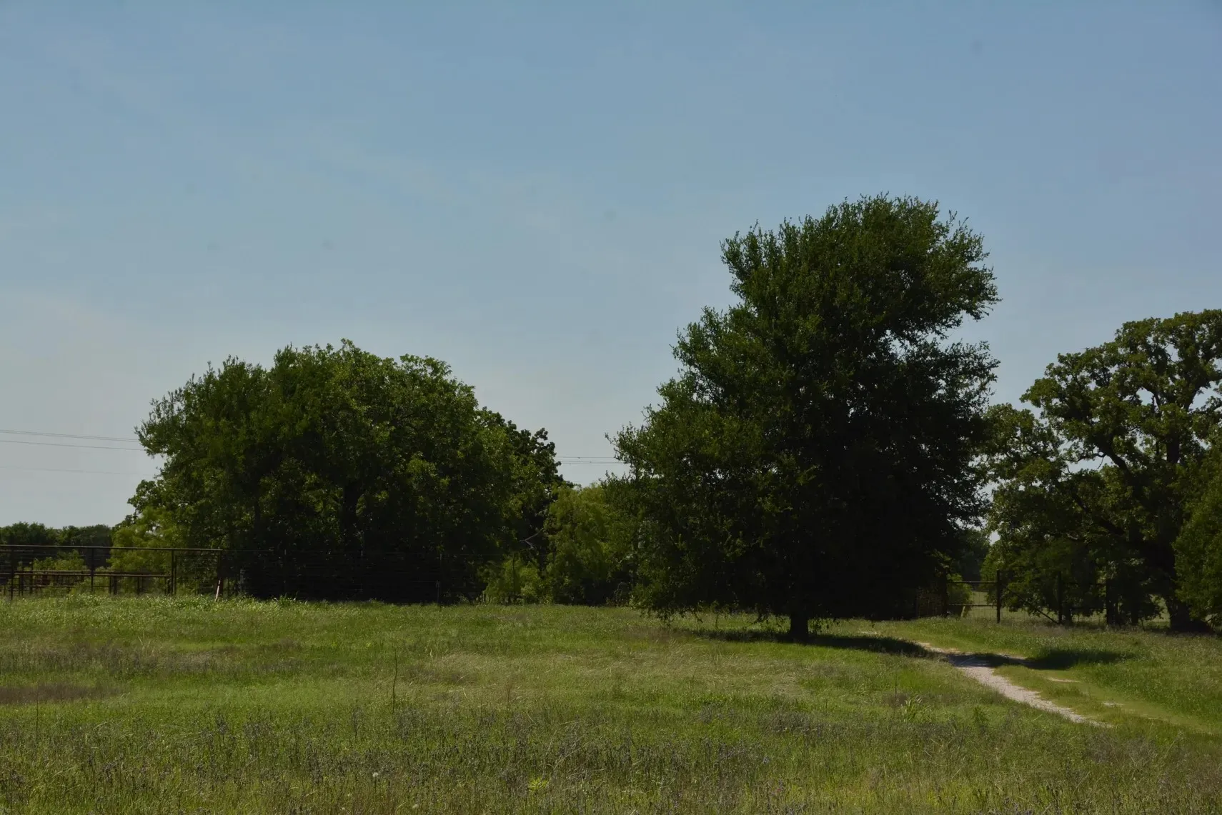Single Family Residence For Sale in Wise County , 138 PR 3417, Bridgeport, Texas 76426, 3 Bedrooms, 2 Bathrooms, 3 Garage spaces, 1,750 Sqft, built in 1985, Price $1,900,000, mls#21267022, Real Estate Agent in Bridgeport, Homes For Sale in Wise county, Homes For Sale in Bridgeport, Realtor in Bridgeport Texas, Real Estate Brokerage Independent Realty Texas, Luminita Cordes Realtor