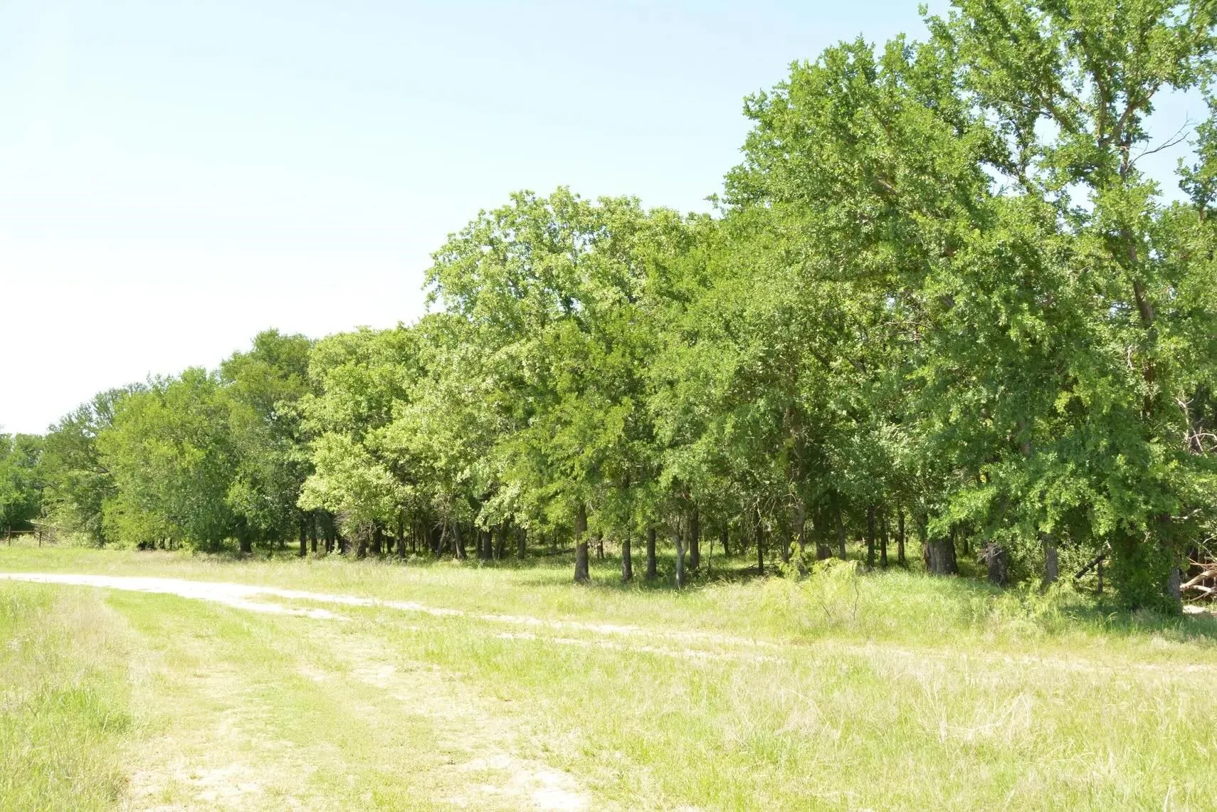 Single Family Residence For Sale in Wise County , 138 PR 3417, Bridgeport, Texas 76426, 3 Bedrooms, 2 Bathrooms, 3 Garage spaces, 1,750 Sqft, built in 1985, Price $1,900,000, mls#21267022, Real Estate Agent in Bridgeport, Homes For Sale in Wise county, Homes For Sale in Bridgeport, Realtor in Bridgeport Texas, Real Estate Brokerage Independent Realty Texas, Luminita Cordes Realtor