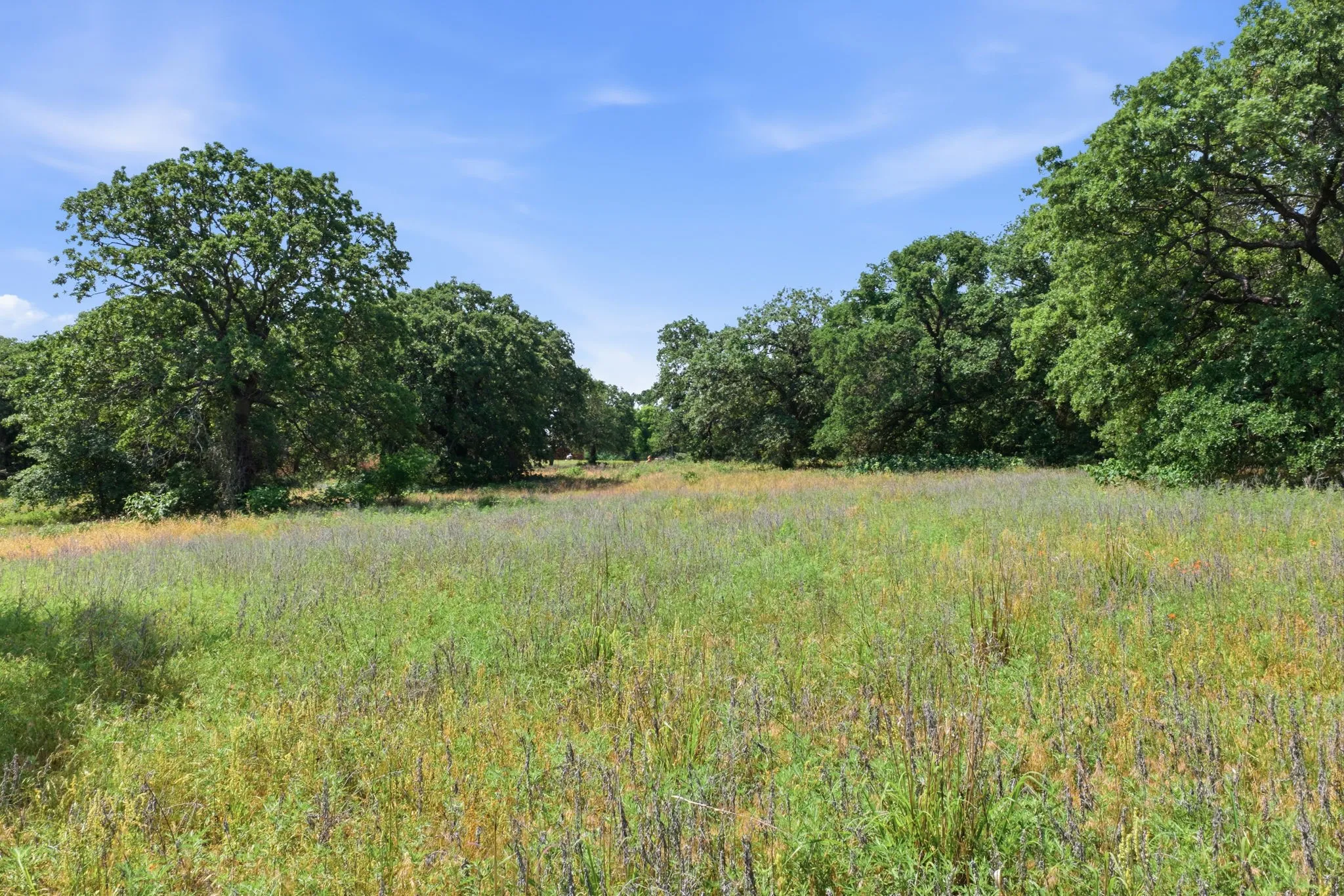 Retail For Sale in Parker County , 3523 E Highway 199 C, Springtown, Texas 76082, 0, 0, Garage spaces, 0 Sqft, built in 1985, mls#21273787, Real Estate Agent in Springtown, Homes For Sale in Parker county, Homes For Sale in Springtown, Realtor in Springtown Texas, Real Estate Brokerage Independent Realty Texas, Luminita Cordes Realtor