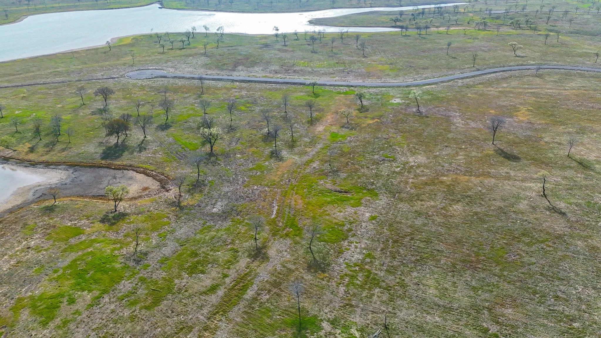 Unimproved Land For Sale in Navarro County , Lot 82 Bauer Boulevard, Corsicana, Texas 75110, 0, 0, Garage spaces, 0 Sqft, built in 0, mls#21272481, Real Estate Agent in Corsicana, Homes For Sale in Navarro county, Homes For Sale in Corsicana, Realtor in Corsicana Texas, Real Estate Brokerage Independent Realty Texas, Luminita Cordes Realtor
