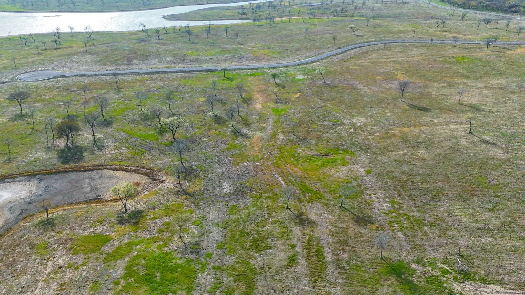 Unimproved Land For Sale in Navarro County , Lot 82 Bauer Boulevard, Corsicana, Texas 75110, 0, 0, Garage spaces, 0 Sqft, built in 0, mls#21272481, Real Estate Agent in Corsicana, Homes For Sale in Navarro county, Homes For Sale in Corsicana, Realtor in Corsicana Texas, Real Estate Brokerage Independent Realty Texas, Luminita Cordes Realtor