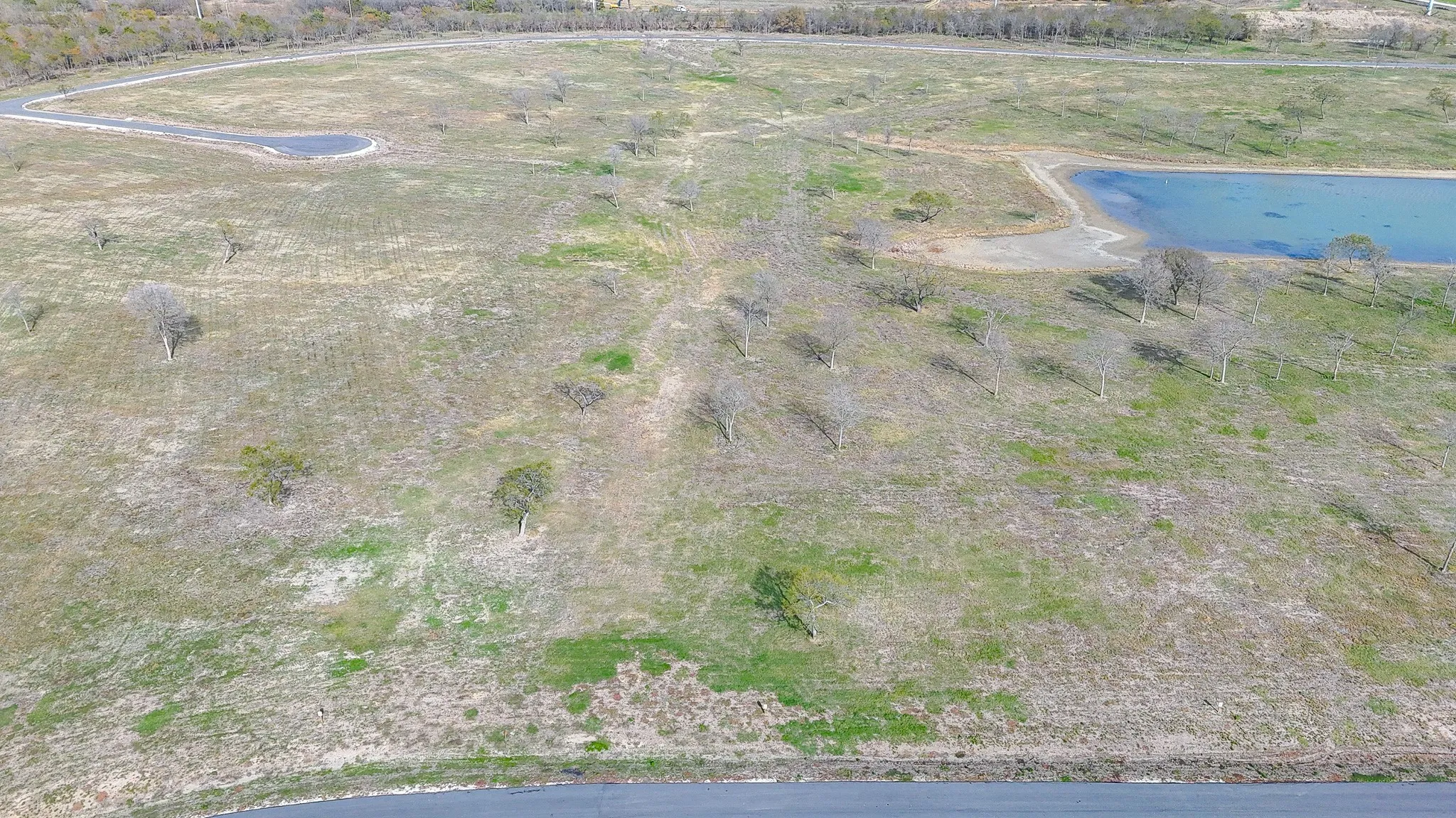 Unimproved Land For Sale in Navarro County , Lot 82 Bauer Boulevard, Corsicana, Texas 75110, 0, 0, Garage spaces, 0 Sqft, built in 0, mls#21272481, Real Estate Agent in Corsicana, Homes For Sale in Navarro county, Homes For Sale in Corsicana, Realtor in Corsicana Texas, Real Estate Brokerage Independent Realty Texas, Luminita Cordes Realtor