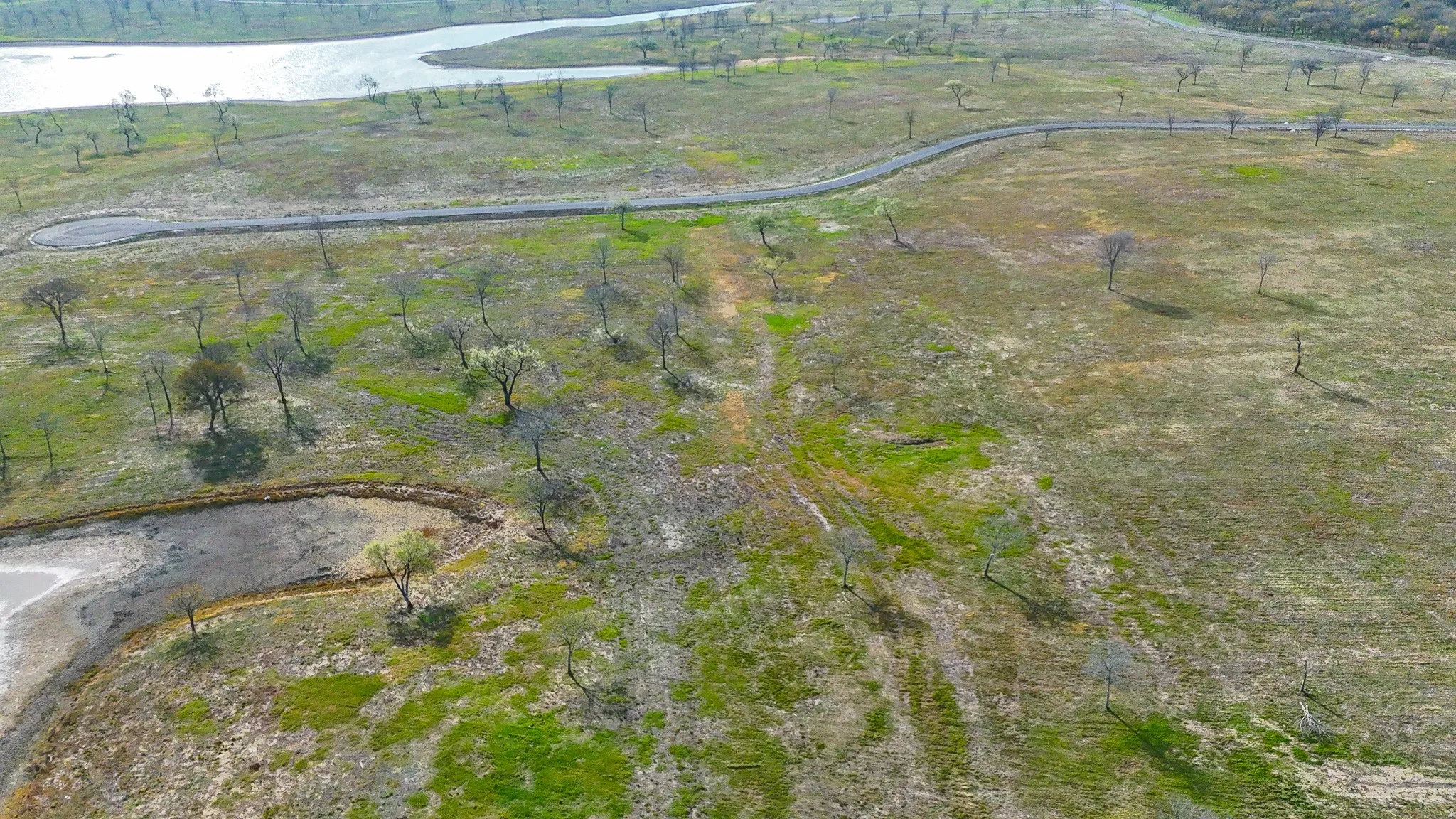 Unimproved Land For Sale in Navarro County , Lot 82 Bauer Boulevard, Corsicana, Texas 75110, 0, 0, Garage spaces, 0 Sqft, built in 0, mls#21272481, Real Estate Agent in Corsicana, Homes For Sale in Navarro county, Homes For Sale in Corsicana, Realtor in Corsicana Texas, Real Estate Brokerage Independent Realty Texas, Luminita Cordes Realtor