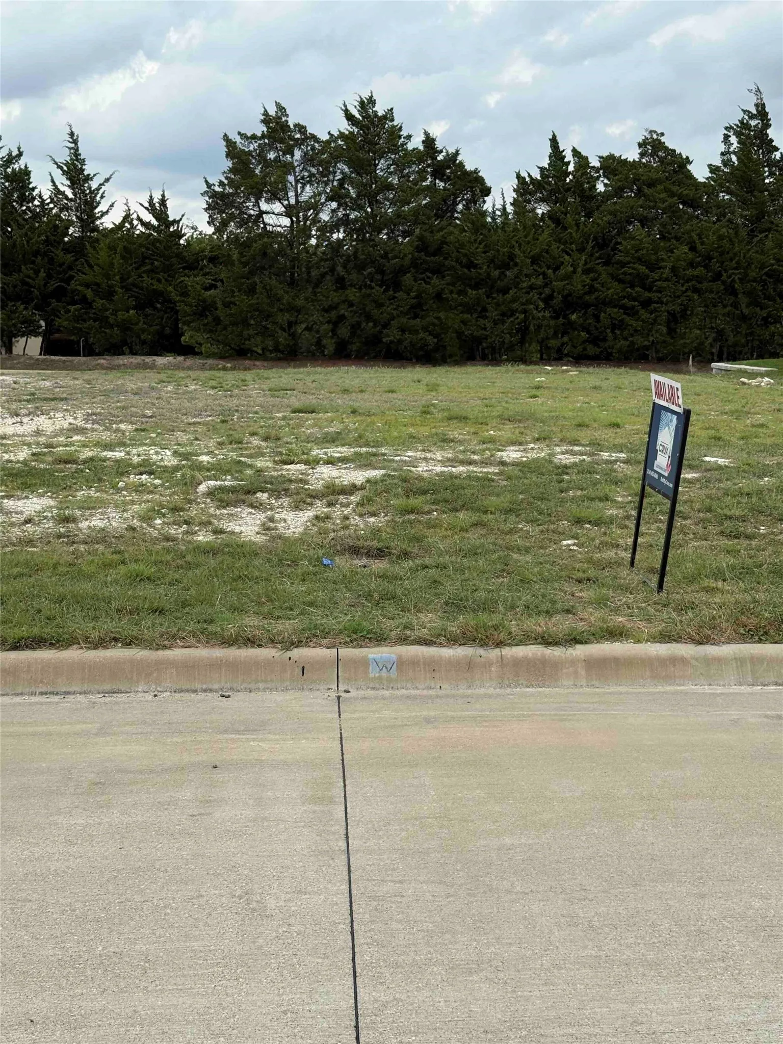 Grassed vacant lot