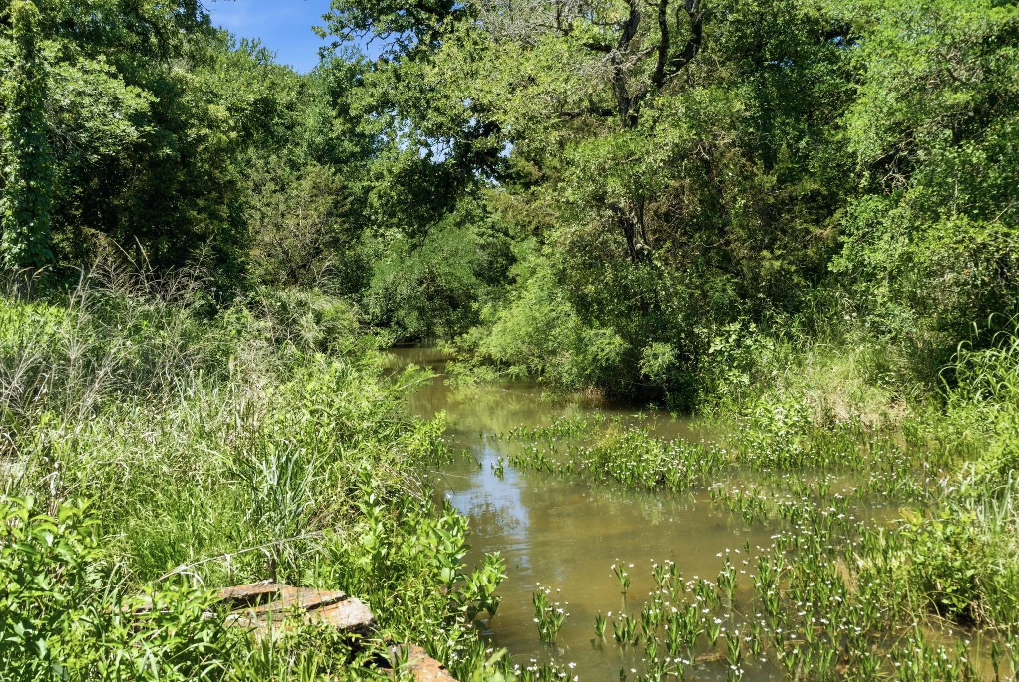Ranch For Sale in Palo Pinto County , 4320 Dobbs Valley Road, Millsap, Texas 76066, 0, 0, Garage spaces, 0 Sqft, built in 0, mls#21273882, Real Estate Agent in Millsap, Homes For Sale in Palo Pinto county, Homes For Sale in Millsap, Realtor in Millsap Texas, Real Estate Brokerage Independent Realty Texas, Luminita Cordes Realtor