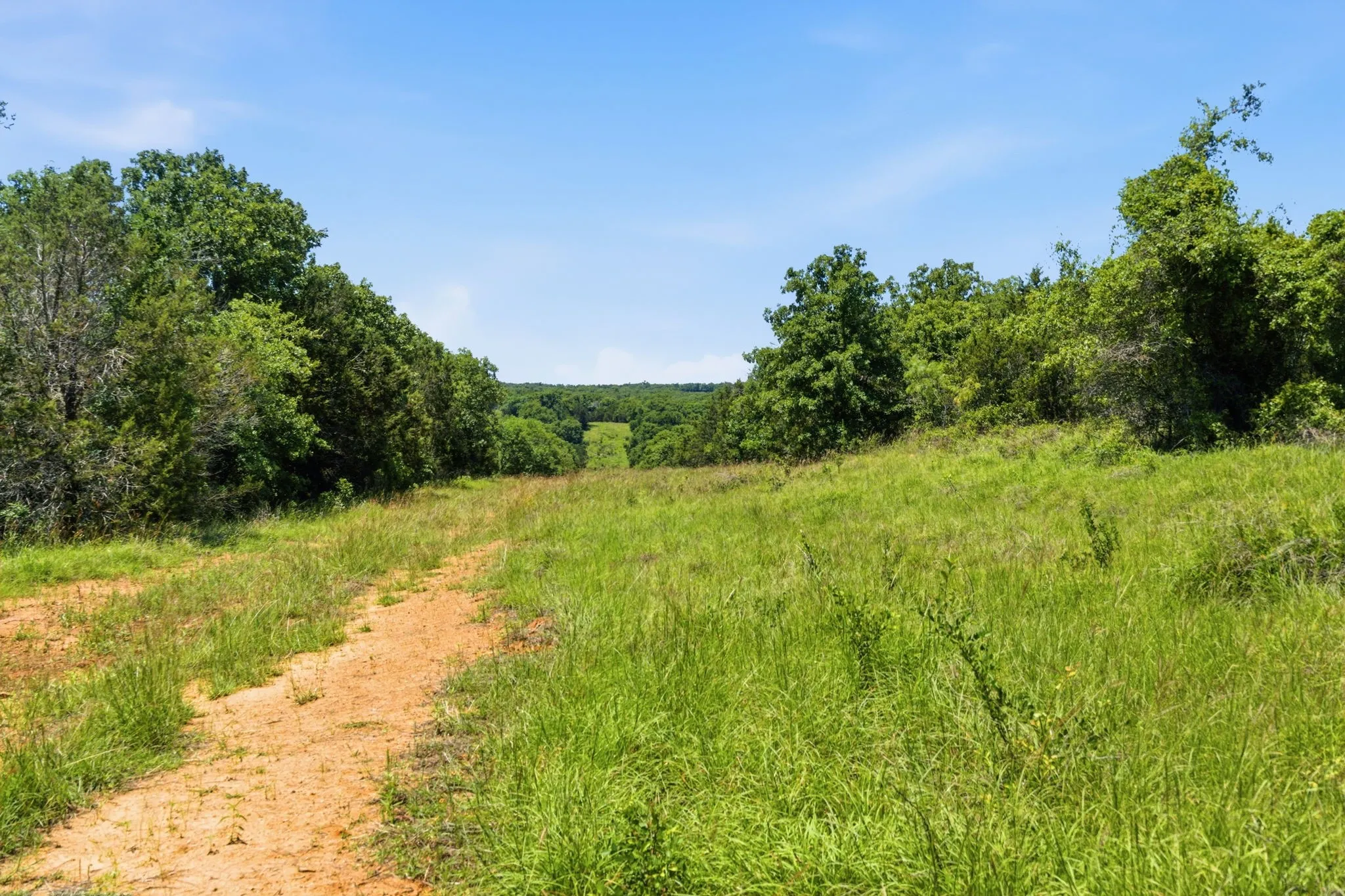 Ranch For Sale in Palo Pinto County , 4320 Dobbs Valley Road, Millsap, Texas 76066, 0, 0, Garage spaces, 0 Sqft, built in 0, mls#21273882, Real Estate Agent in Millsap, Homes For Sale in Palo Pinto county, Homes For Sale in Millsap, Realtor in Millsap Texas, Real Estate Brokerage Independent Realty Texas, Luminita Cordes Realtor