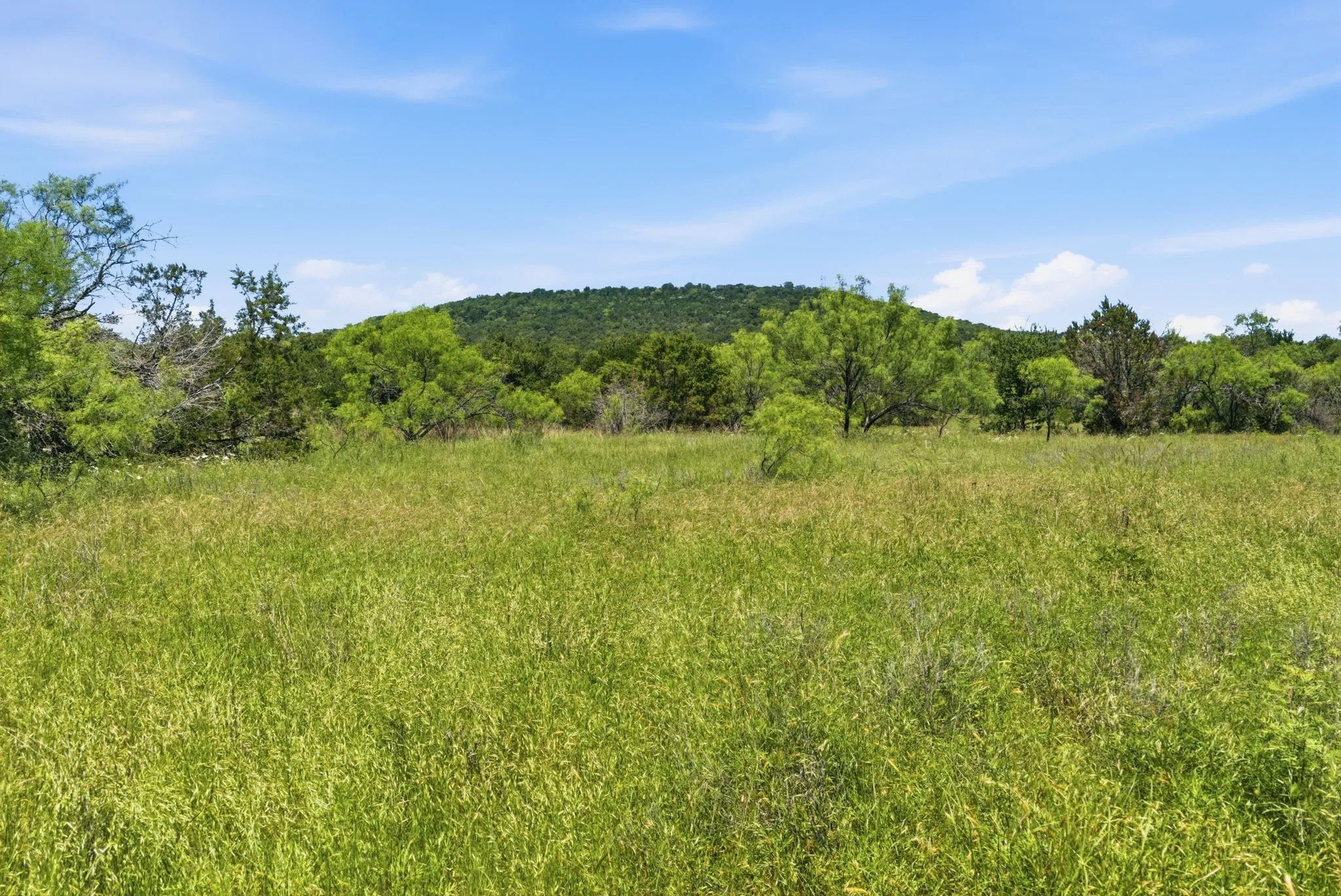 Ranch For Sale in Palo Pinto County , 4320 Dobbs Valley Road, Millsap, Texas 76066, 0, 0, Garage spaces, 0 Sqft, built in 0, mls#21273882, Real Estate Agent in Millsap, Homes For Sale in Palo Pinto county, Homes For Sale in Millsap, Realtor in Millsap Texas, Real Estate Brokerage Independent Realty Texas, Luminita Cordes Realtor