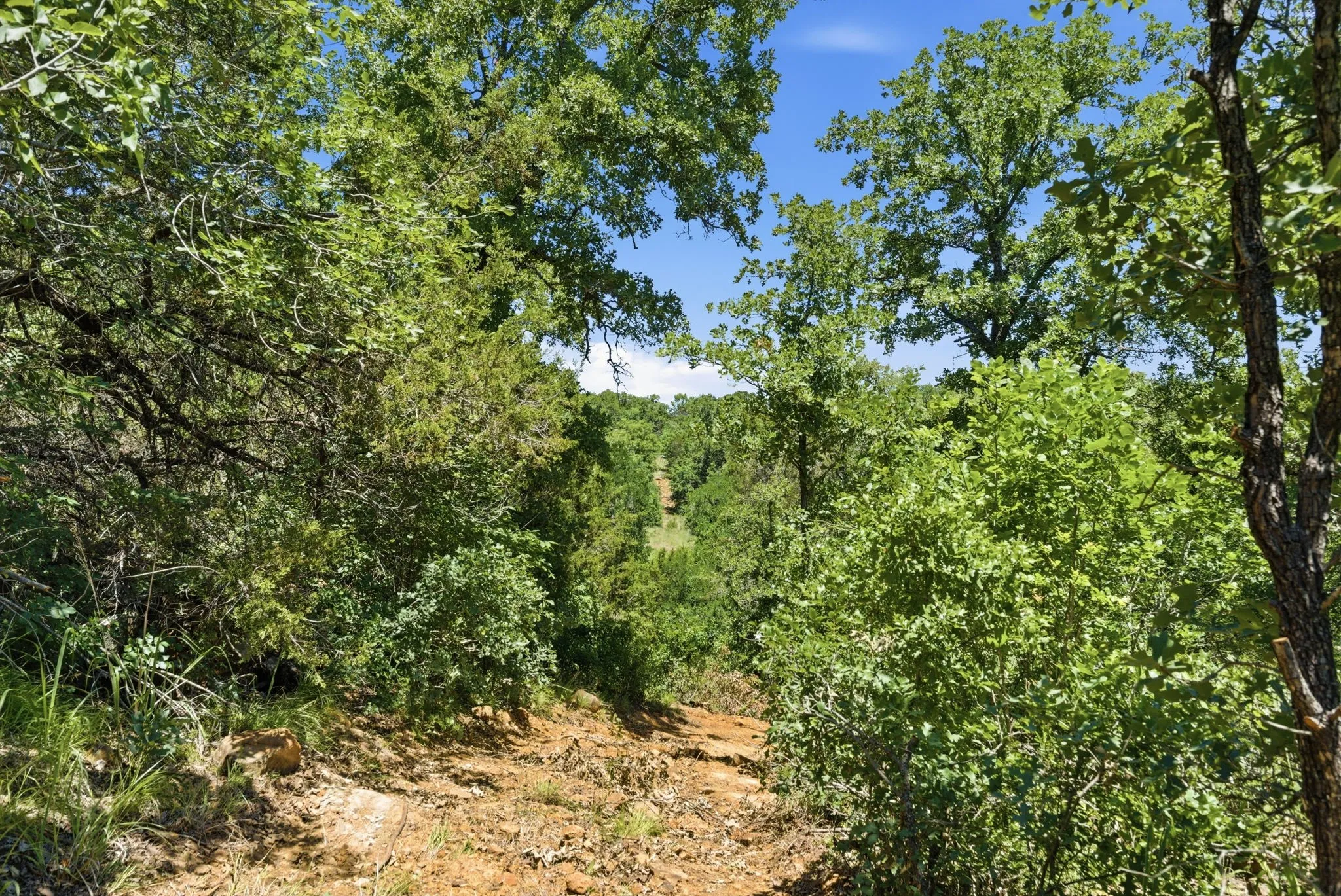 Ranch For Sale in Palo Pinto County , 4320 Dobbs Valley Road, Millsap, Texas 76066, 0, 0, Garage spaces, 0 Sqft, built in 0, mls#21273882, Real Estate Agent in Millsap, Homes For Sale in Palo Pinto county, Homes For Sale in Millsap, Realtor in Millsap Texas, Real Estate Brokerage Independent Realty Texas, Luminita Cordes Realtor