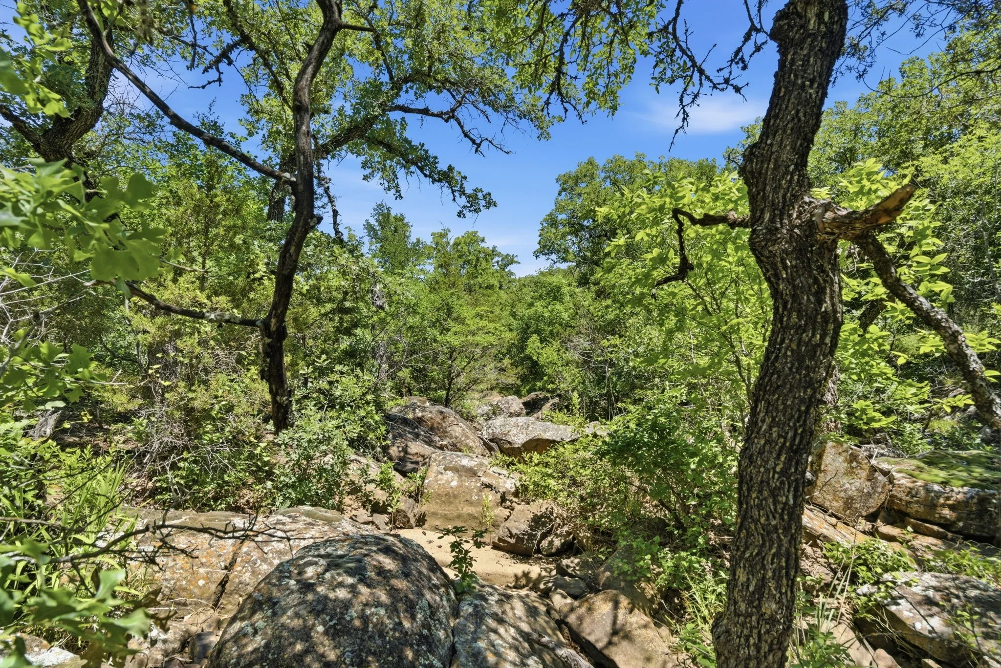 Ranch For Sale in Palo Pinto County , 4320 Dobbs Valley Road, Millsap, Texas 76066, 0, 0, Garage spaces, 0 Sqft, built in 0, mls#21273882, Real Estate Agent in Millsap, Homes For Sale in Palo Pinto county, Homes For Sale in Millsap, Realtor in Millsap Texas, Real Estate Brokerage Independent Realty Texas, Luminita Cordes Realtor