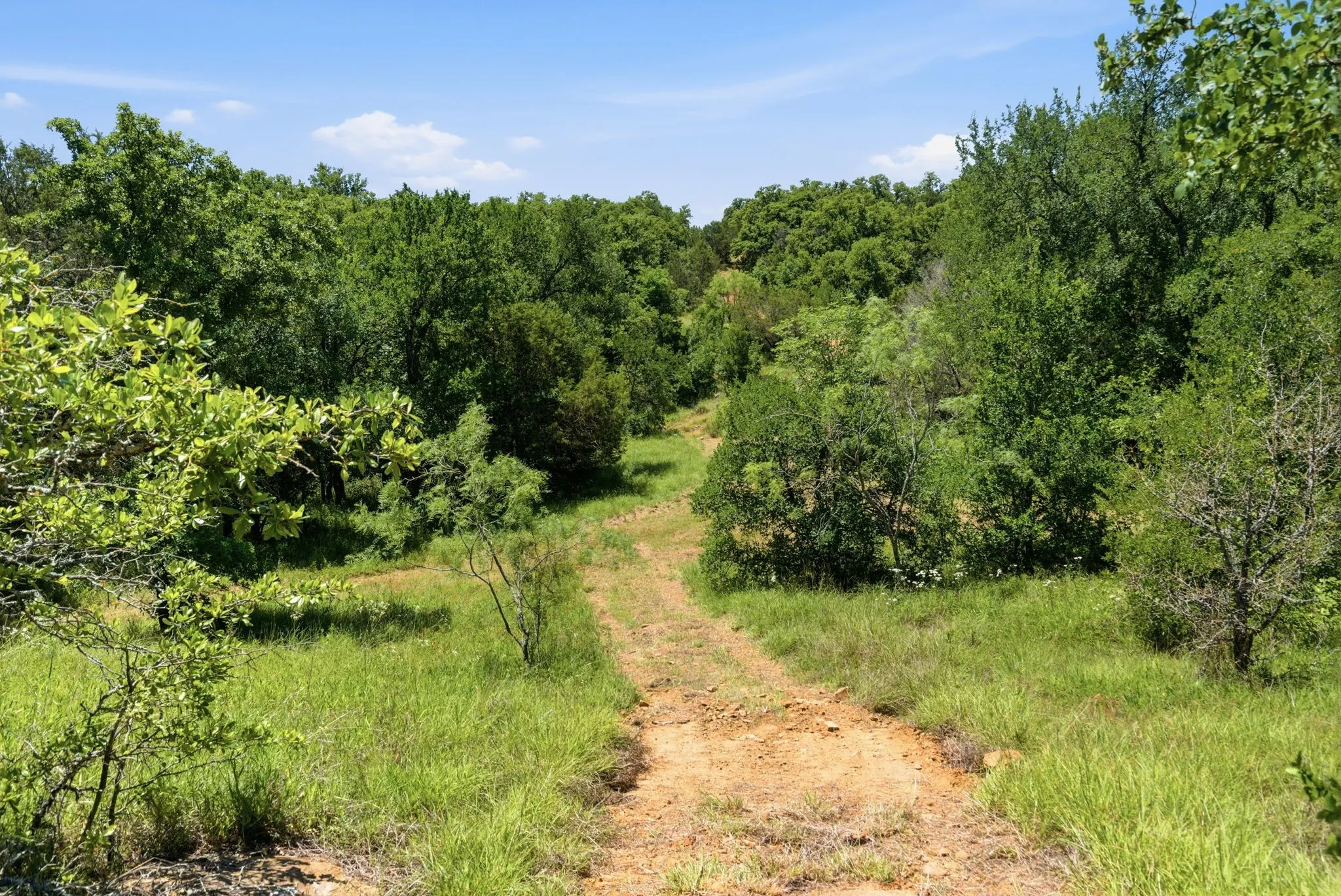 Ranch For Sale in Palo Pinto County , 4320 Dobbs Valley Road, Millsap, Texas 76066, 0, 0, Garage spaces, 0 Sqft, built in 0, mls#21273882, Real Estate Agent in Millsap, Homes For Sale in Palo Pinto county, Homes For Sale in Millsap, Realtor in Millsap Texas, Real Estate Brokerage Independent Realty Texas, Luminita Cordes Realtor