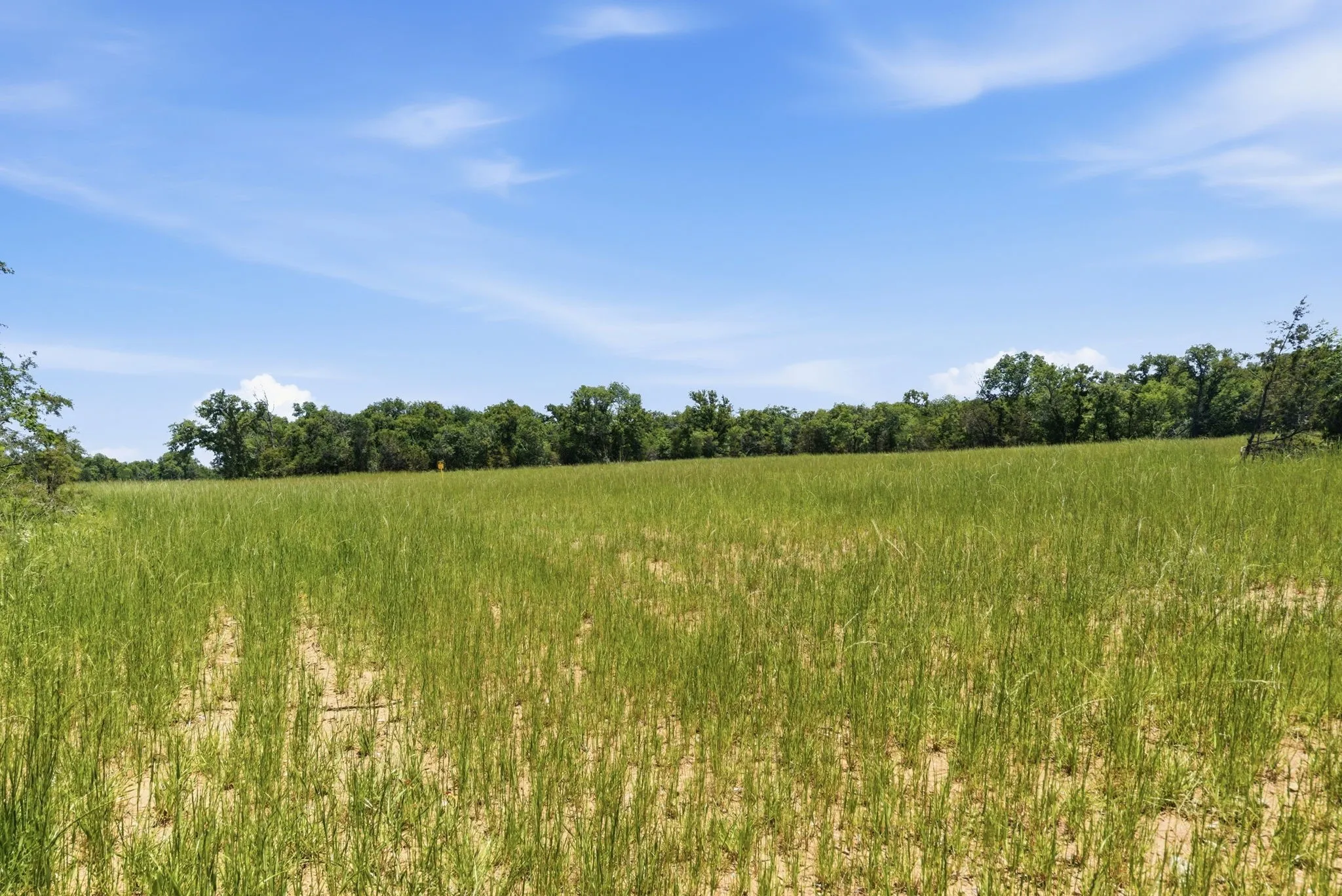Ranch For Sale in Palo Pinto County , 4320 Dobbs Valley Road, Millsap, Texas 76066, 0, 0, Garage spaces, 0 Sqft, built in 0, mls#21273882, Real Estate Agent in Millsap, Homes For Sale in Palo Pinto county, Homes For Sale in Millsap, Realtor in Millsap Texas, Real Estate Brokerage Independent Realty Texas, Luminita Cordes Realtor