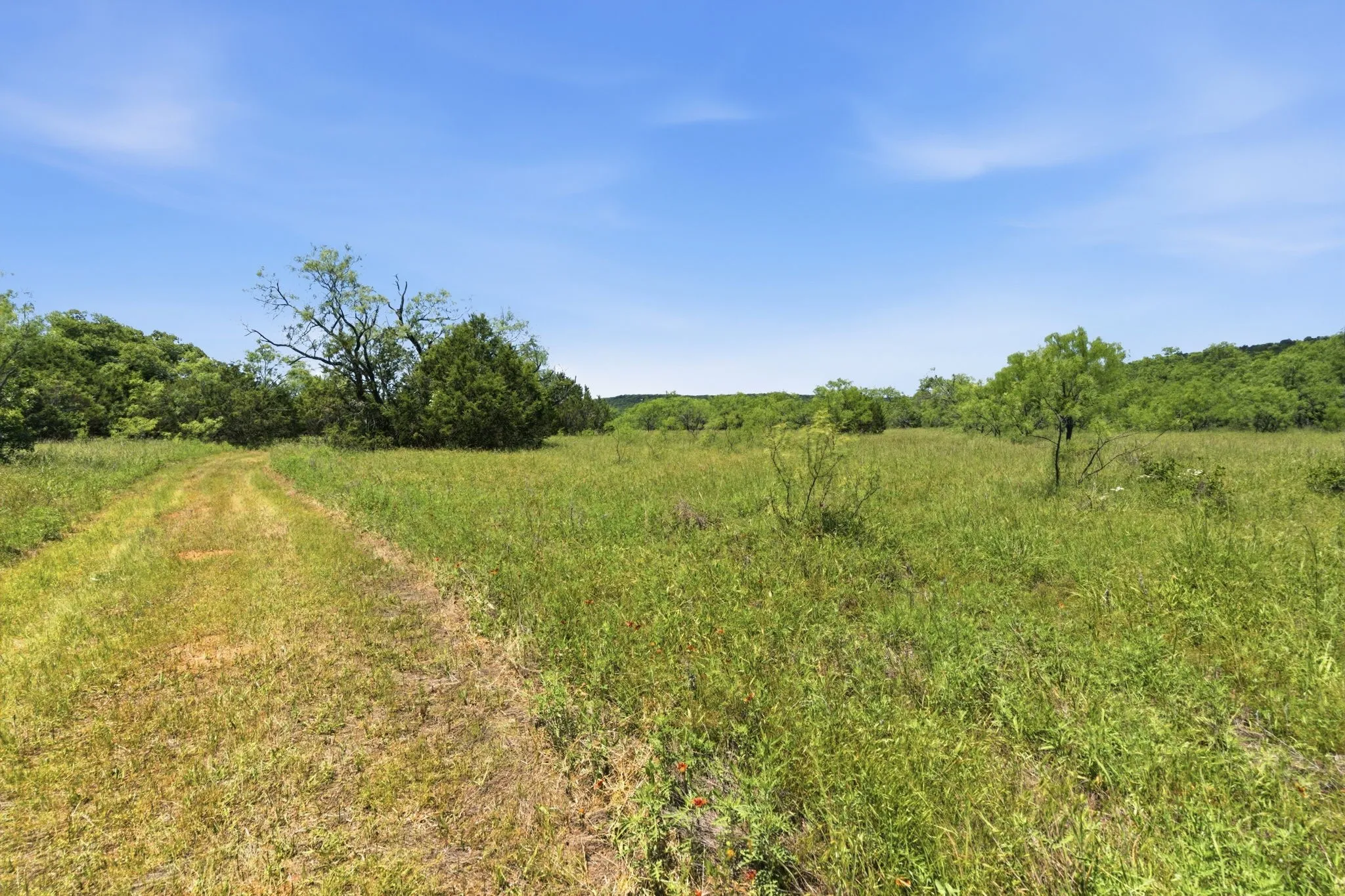 Ranch For Sale in Palo Pinto County , 4320 Dobbs Valley Road, Millsap, Texas 76066, 0, 0, Garage spaces, 0 Sqft, built in 0, mls#21273882, Real Estate Agent in Millsap, Homes For Sale in Palo Pinto county, Homes For Sale in Millsap, Realtor in Millsap Texas, Real Estate Brokerage Independent Realty Texas, Luminita Cordes Realtor