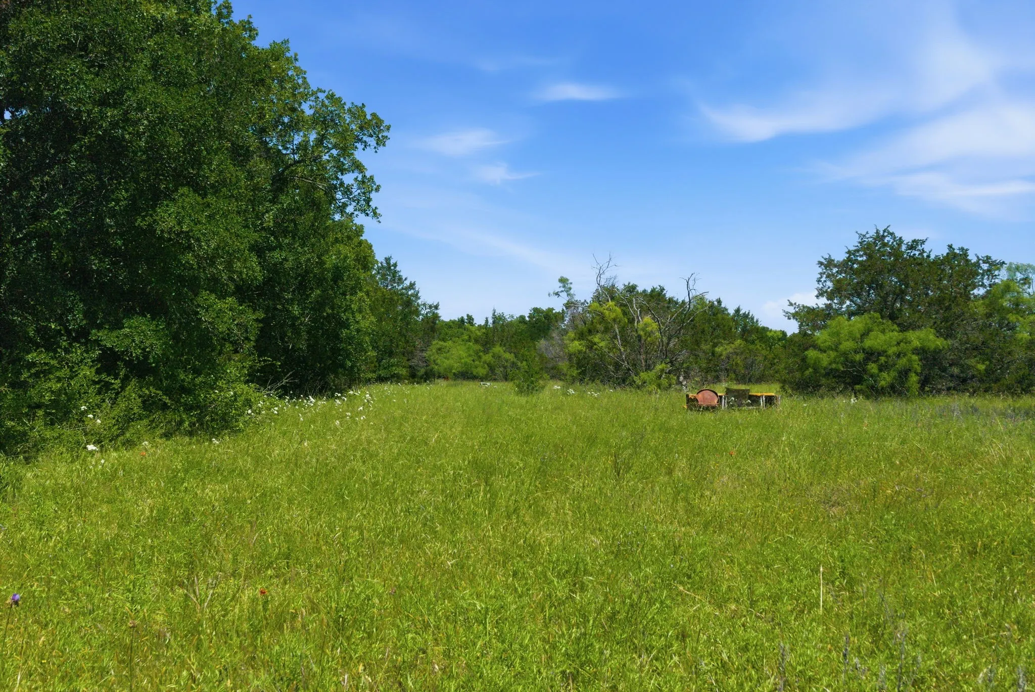 Ranch For Sale in Palo Pinto County , 4320 Dobbs Valley Road, Millsap, Texas 76066, 0, 0, Garage spaces, 0 Sqft, built in 0, mls#21273882, Real Estate Agent in Millsap, Homes For Sale in Palo Pinto county, Homes For Sale in Millsap, Realtor in Millsap Texas, Real Estate Brokerage Independent Realty Texas, Luminita Cordes Realtor