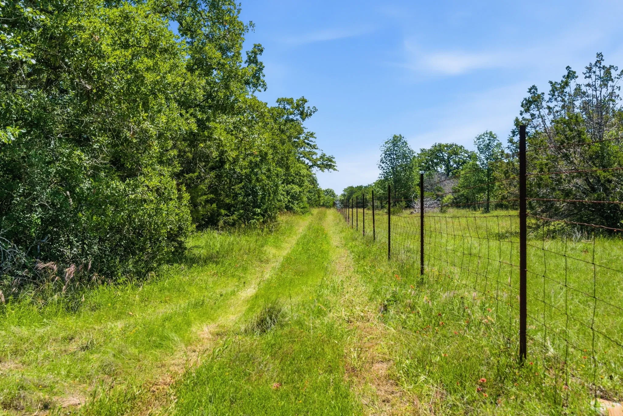 Ranch For Sale in Palo Pinto County , 4320 Dobbs Valley Road, Millsap, Texas 76066, 0, 0, Garage spaces, 0 Sqft, built in 0, mls#21273882, Real Estate Agent in Millsap, Homes For Sale in Palo Pinto county, Homes For Sale in Millsap, Realtor in Millsap Texas, Real Estate Brokerage Independent Realty Texas, Luminita Cordes Realtor
