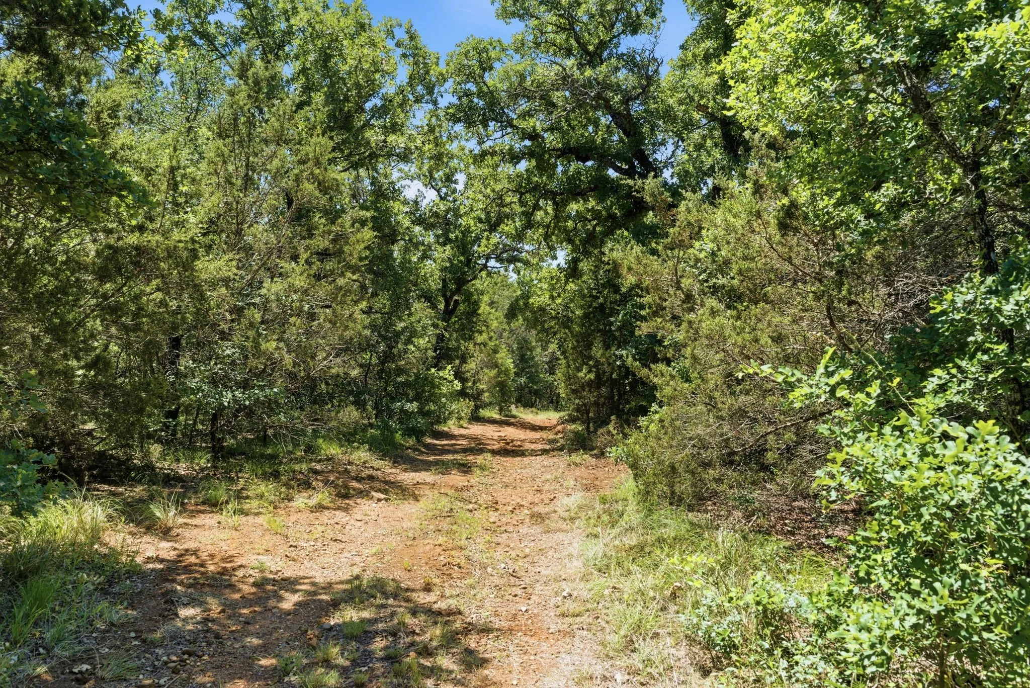 Ranch For Sale in Palo Pinto County , 4320 Dobbs Valley Road, Millsap, Texas 76066, 0, 0, Garage spaces, 0 Sqft, built in 0, mls#21273882, Real Estate Agent in Millsap, Homes For Sale in Palo Pinto county, Homes For Sale in Millsap, Realtor in Millsap Texas, Real Estate Brokerage Independent Realty Texas, Luminita Cordes Realtor