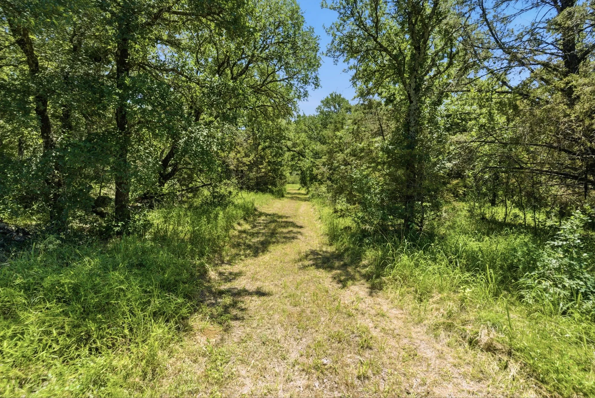 Ranch For Sale in Palo Pinto County , 4320 Dobbs Valley Road, Millsap, Texas 76066, 0, 0, Garage spaces, 0 Sqft, built in 0, mls#21273882, Real Estate Agent in Millsap, Homes For Sale in Palo Pinto county, Homes For Sale in Millsap, Realtor in Millsap Texas, Real Estate Brokerage Independent Realty Texas, Luminita Cordes Realtor