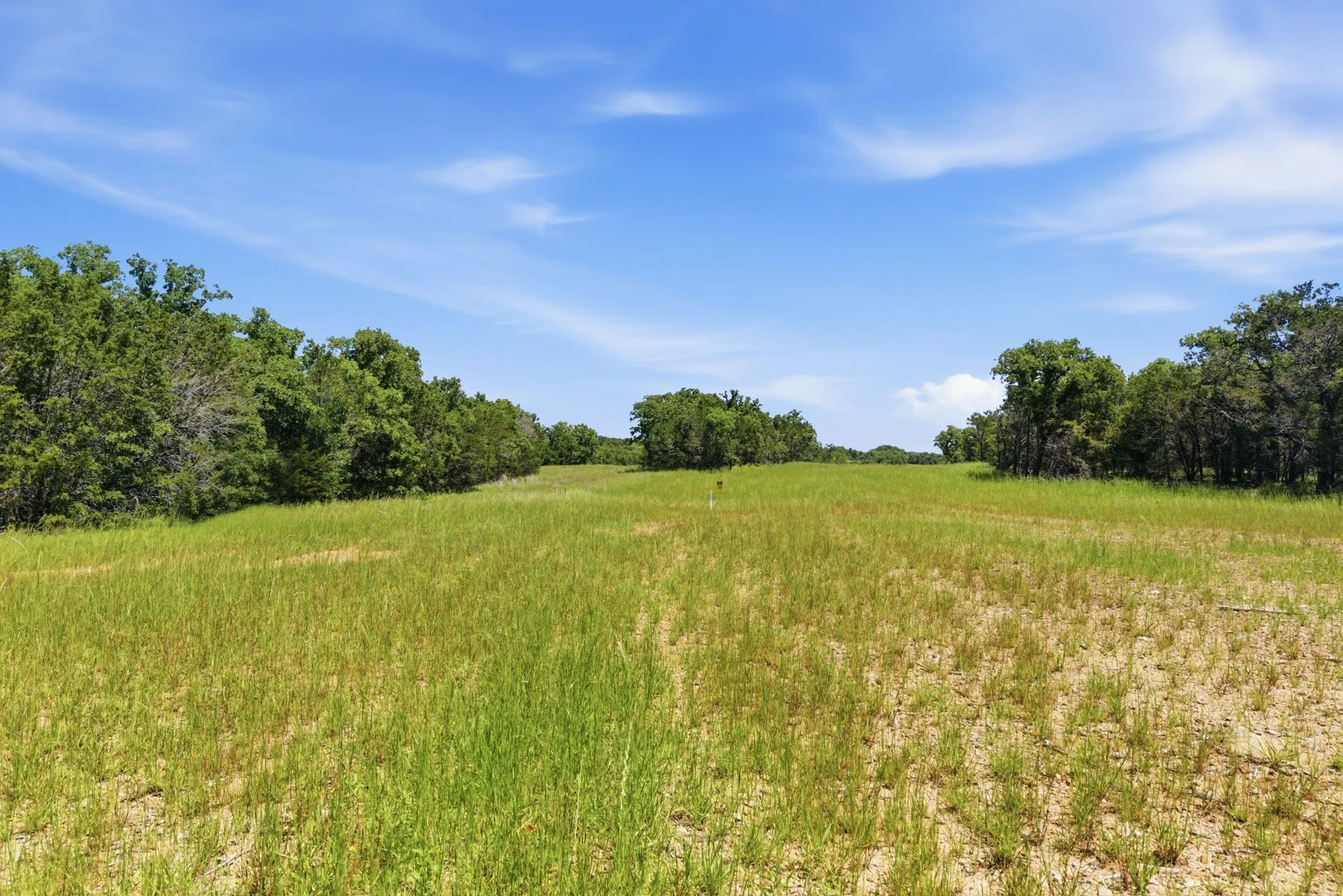 Ranch For Sale in Palo Pinto County , 4320 Dobbs Valley Road, Millsap, Texas 76066, 0, 0, Garage spaces, 0 Sqft, built in 0, mls#21273882, Real Estate Agent in Millsap, Homes For Sale in Palo Pinto county, Homes For Sale in Millsap, Realtor in Millsap Texas, Real Estate Brokerage Independent Realty Texas, Luminita Cordes Realtor