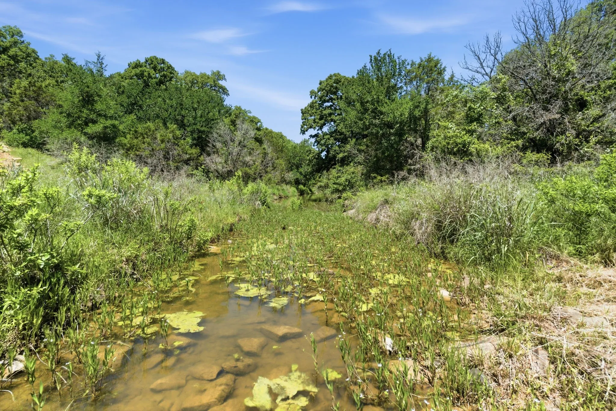 Ranch For Sale in Palo Pinto County , 4320 Dobbs Valley Road, Millsap, Texas 76066, 0, 0, Garage spaces, 0 Sqft, built in 0, mls#21273882, Real Estate Agent in Millsap, Homes For Sale in Palo Pinto county, Homes For Sale in Millsap, Realtor in Millsap Texas, Real Estate Brokerage Independent Realty Texas, Luminita Cordes Realtor