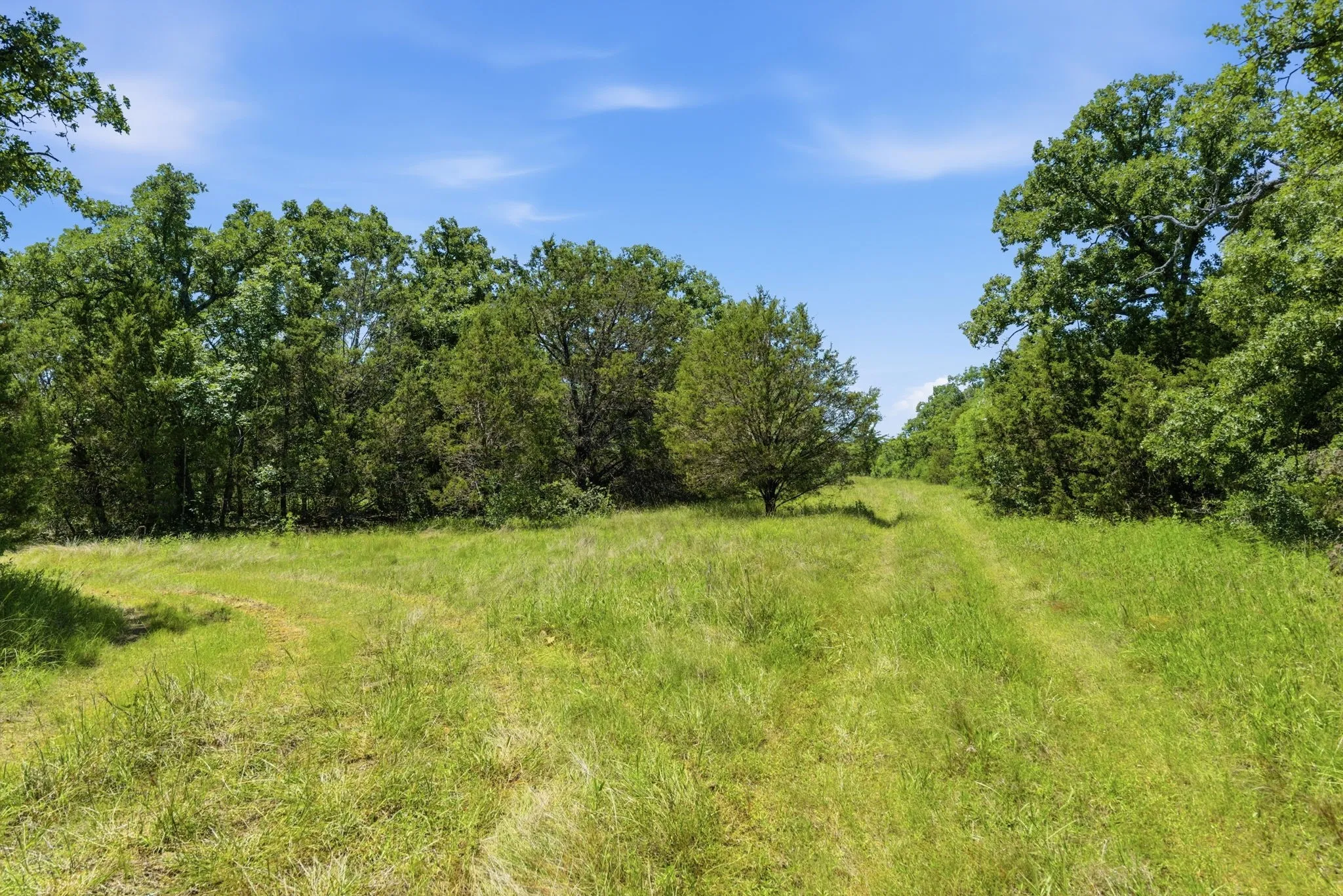 Ranch For Sale in Palo Pinto County , 4320 Dobbs Valley Road, Millsap, Texas 76066, 0, 0, Garage spaces, 0 Sqft, built in 0, mls#21273882, Real Estate Agent in Millsap, Homes For Sale in Palo Pinto county, Homes For Sale in Millsap, Realtor in Millsap Texas, Real Estate Brokerage Independent Realty Texas, Luminita Cordes Realtor