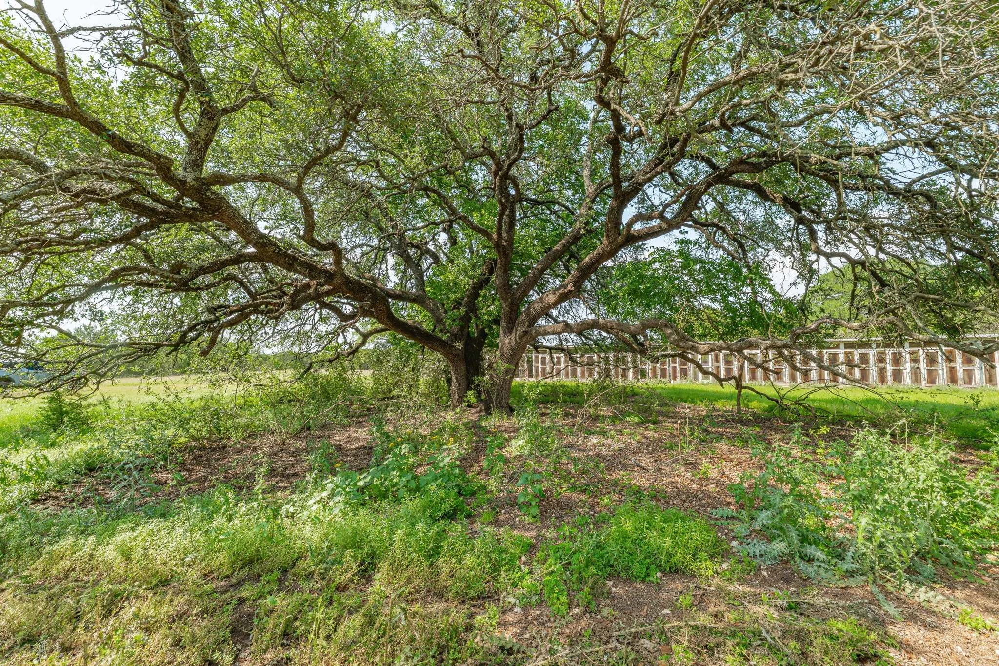 Unimproved Land For Sale in Bosque County , 5544 FM 927, Walnut Springs, Texas 76690, 0, 0, Garage spaces, 0 Sqft, built in 0, Price $3,412,500, mls#21268104, Real Estate Agent in Walnut Springs, Homes For Sale in Bosque county, Homes For Sale in Walnut Springs, Realtor in Walnut Springs Texas, Real Estate Brokerage Independent Realty Texas, Luminita Cordes Realtor