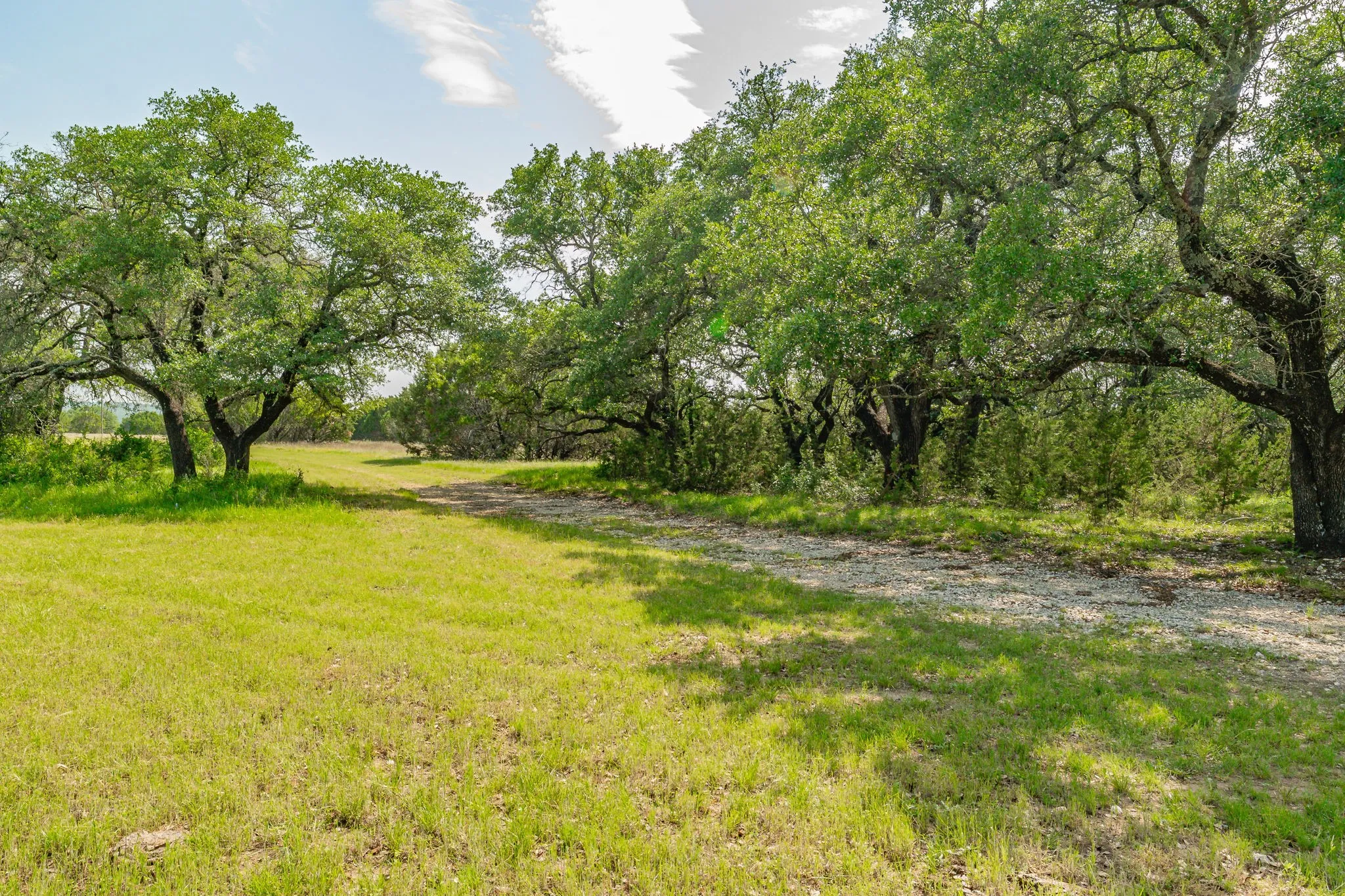 Unimproved Land For Sale in Bosque County , 5544 FM 927, Walnut Springs, Texas 76690, 0, 0, Garage spaces, 0 Sqft, built in 0, Price $3,412,500, mls#21268104, Real Estate Agent in Walnut Springs, Homes For Sale in Bosque county, Homes For Sale in Walnut Springs, Realtor in Walnut Springs Texas, Real Estate Brokerage Independent Realty Texas, Luminita Cordes Realtor