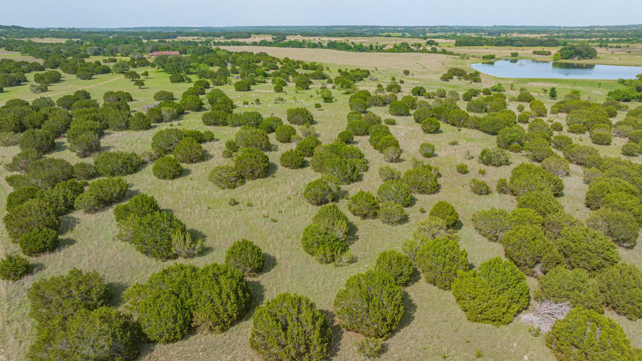 Unimproved Land For Sale in Bosque County , 5544 FM 927, Walnut Springs, Texas 76690, 0, 0, Garage spaces, 0 Sqft, built in 0, Price $3,412,500, mls#21268104, Real Estate Agent in Walnut Springs, Homes For Sale in Bosque county, Homes For Sale in Walnut Springs, Realtor in Walnut Springs Texas, Real Estate Brokerage Independent Realty Texas, Luminita Cordes Realtor