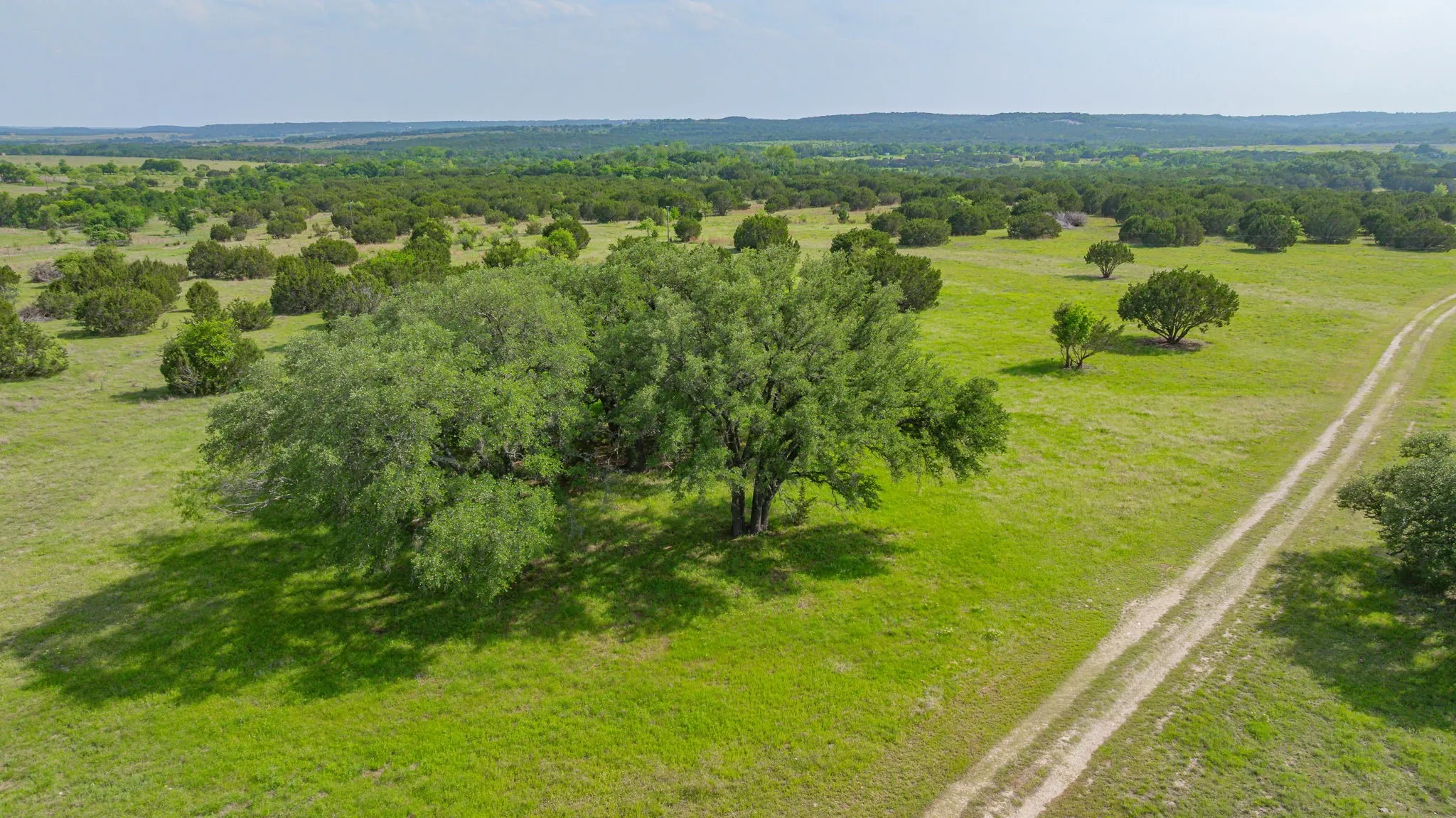 Unimproved Land For Sale in Bosque County , 5544 FM 927, Walnut Springs, Texas 76690, 0, 0, Garage spaces, 0 Sqft, built in 0, Price $3,412,500, mls#21268104, Real Estate Agent in Walnut Springs, Homes For Sale in Bosque county, Homes For Sale in Walnut Springs, Realtor in Walnut Springs Texas, Real Estate Brokerage Independent Realty Texas, Luminita Cordes Realtor