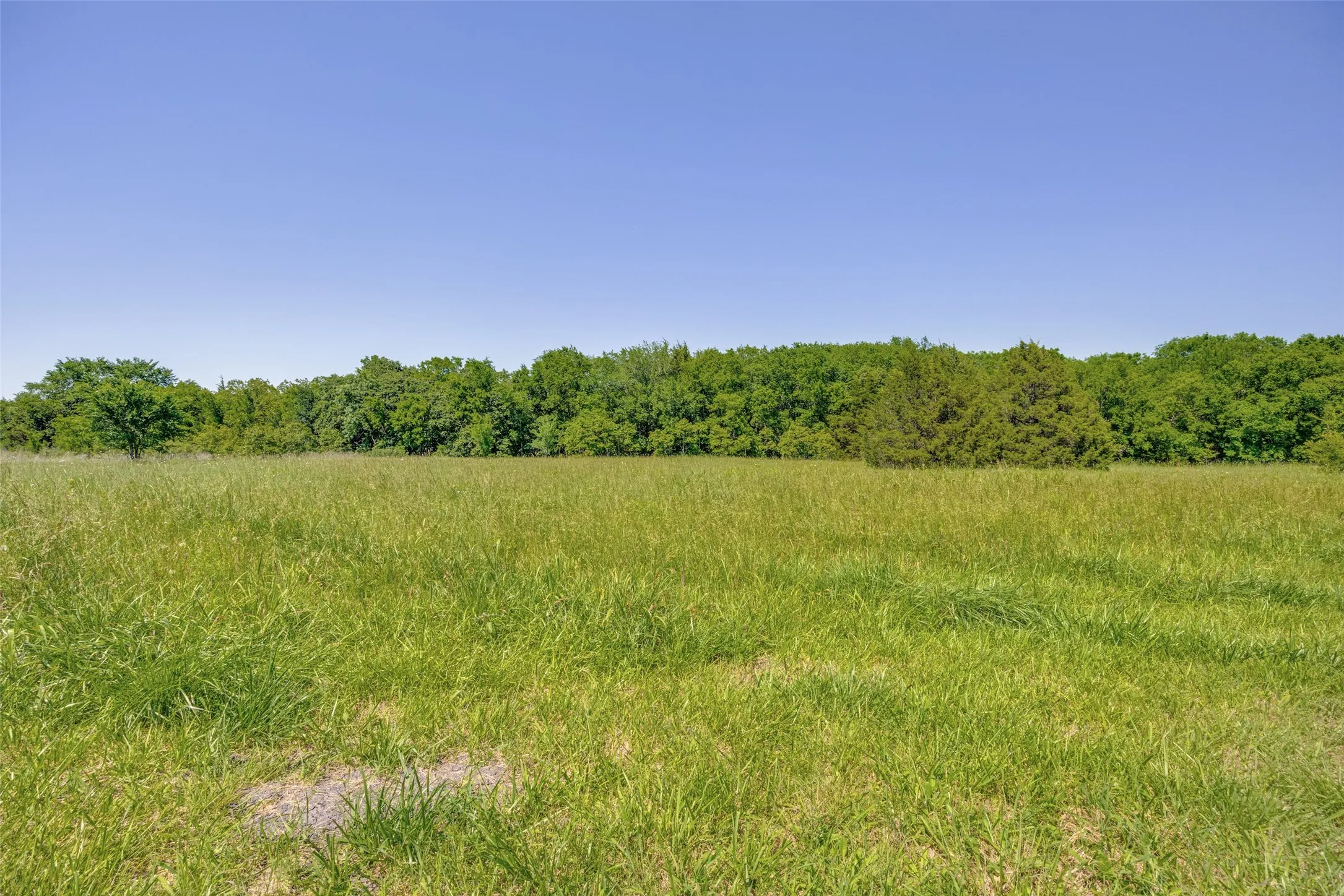 Single Family Residence For Sale in Fannin County , 744 County Road 4910, Trenton, Texas 75490, 3 Bedrooms, 3 Bathrooms, Garage spaces, 2,449 Sqft, built in 2005, Price $625,000, mls#21273938, Real Estate Agent in Trenton, Homes For Sale in Fannin county, Homes For Sale in Trenton, Realtor in Trenton Texas, Real Estate Brokerage Independent Realty Texas, Luminita Cordes Realtor