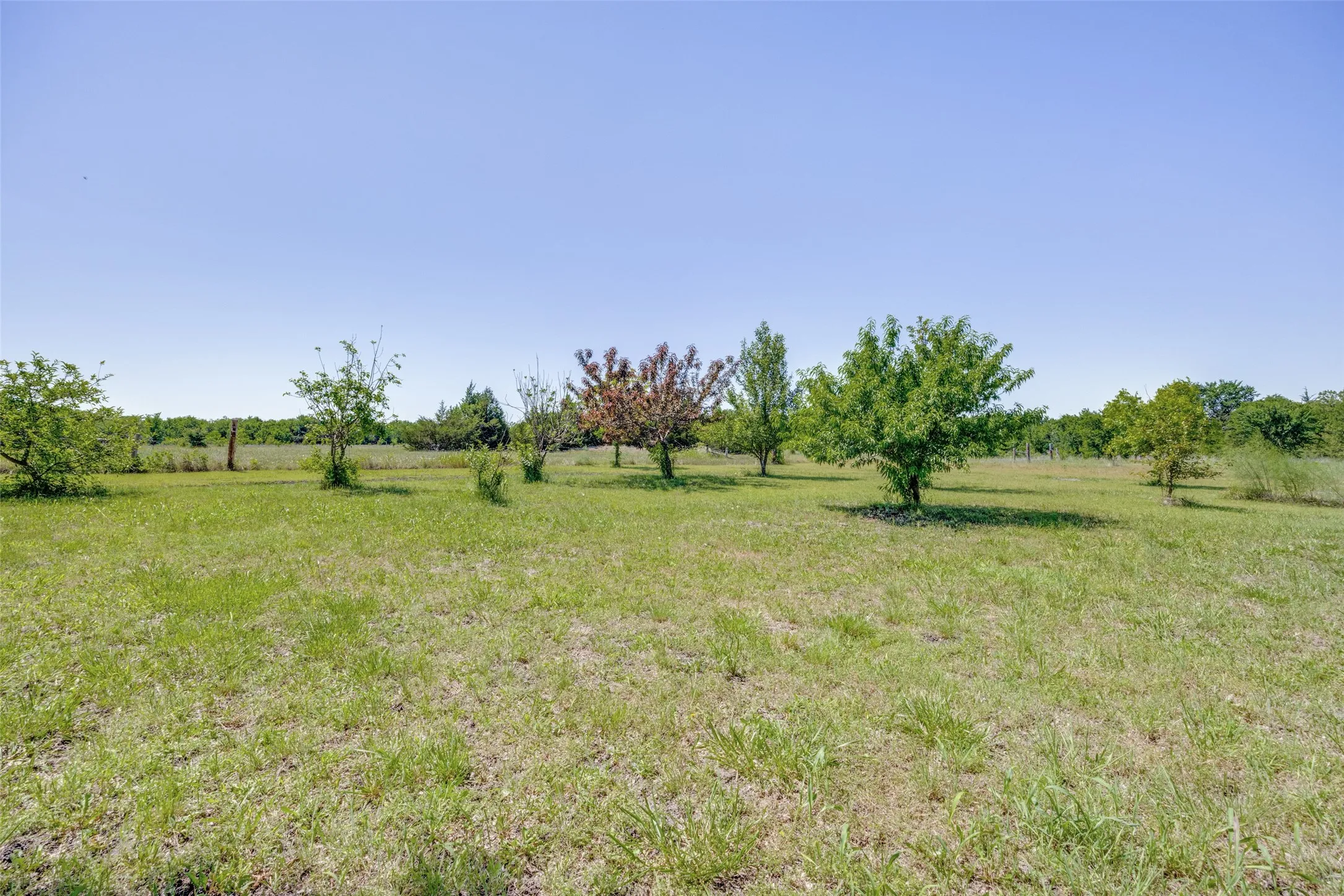 Single Family Residence For Sale in Fannin County , 744 County Road 4910, Trenton, Texas 75490, 3 Bedrooms, 3 Bathrooms, Garage spaces, 2,449 Sqft, built in 2005, Price $625,000, mls#21273938, Real Estate Agent in Trenton, Homes For Sale in Fannin county, Homes For Sale in Trenton, Realtor in Trenton Texas, Real Estate Brokerage Independent Realty Texas, Luminita Cordes Realtor