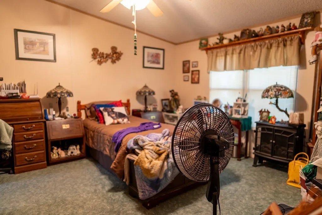 Room featuring a ceiling fan, carpet flooring, a window with blinds, and light-toned walls