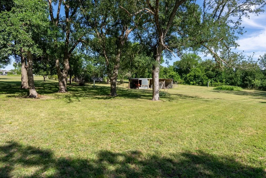 Expansive grassy yard featuring mature trees and a utility shed