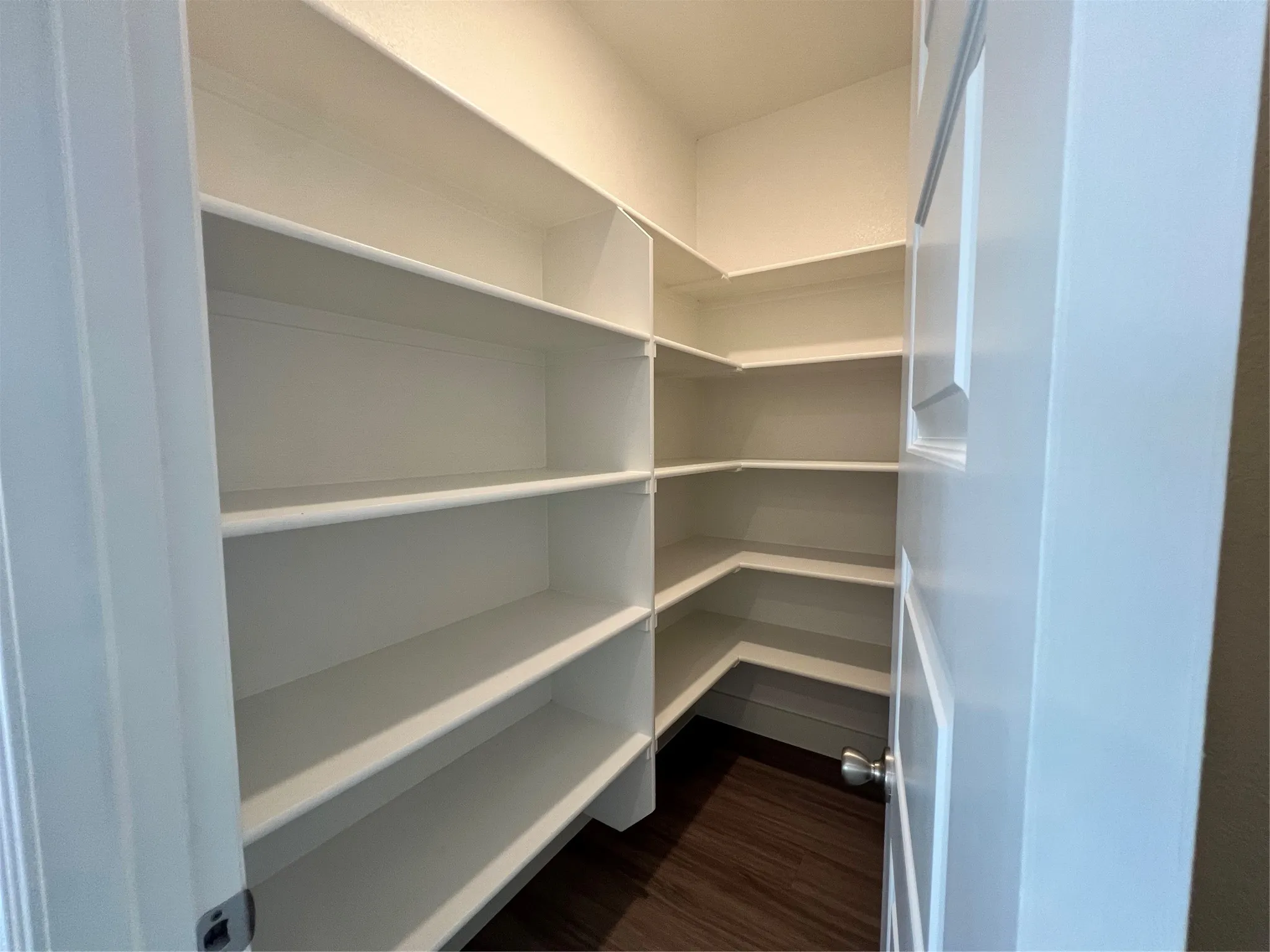 Oversized walk-in pantry to compliment the oversized kitchen!