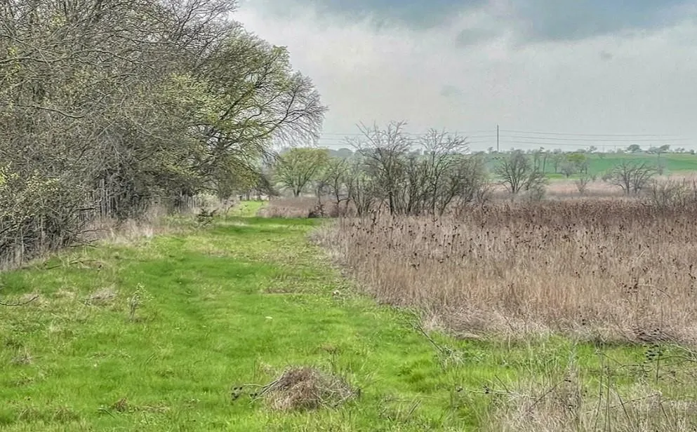 Unimproved Land For Sale in Bosque County , TBD C R 3215, Clifton, Texas 76634, 0, 0, Garage spaces, 0 Sqft, built in 0, Price $180,000, mls#21273972, Real Estate Agent in Clifton, Homes For Sale in Bosque county, Homes For Sale in Clifton, Realtor in Clifton Texas, Real Estate Brokerage Independent Realty Texas, Luminita Cordes Realtor